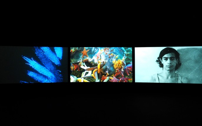 John Akomfrah, Vertigo Sea 2015, Three channel colour video installation, 7.1 sound, 48 minutes 30 seconds