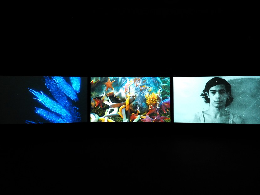 John Akomfrah, Vertigo Sea 2015, Three channel colour video installation, 7.1 sound, 48 minutes 30 seconds