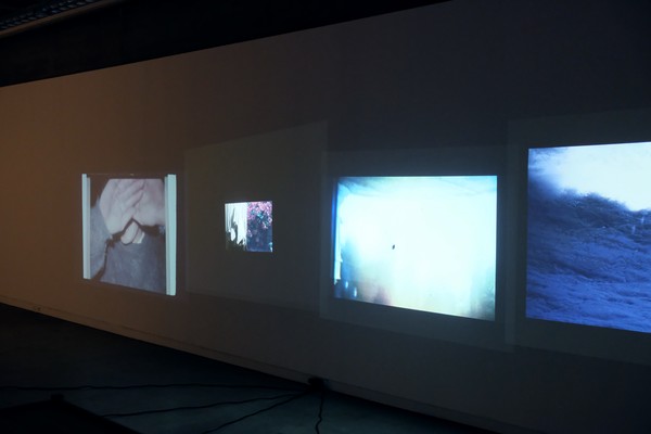 Installation view of Emma Wallbanks' Heteroglossia in Ground Floor Gallery, CoCA. 2020.
