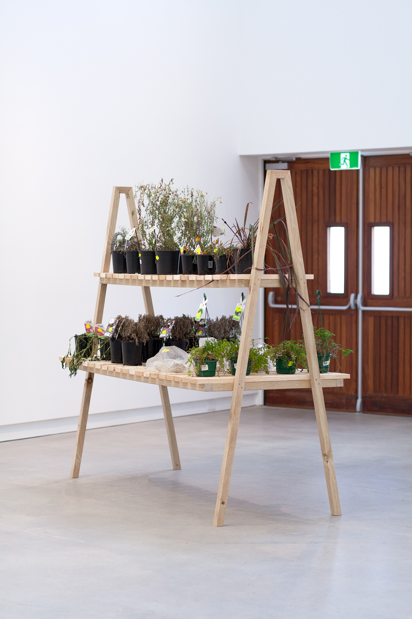 Zina Swanson 'Plants from the sale table', 2016 Photo Credit Daniela Aebli