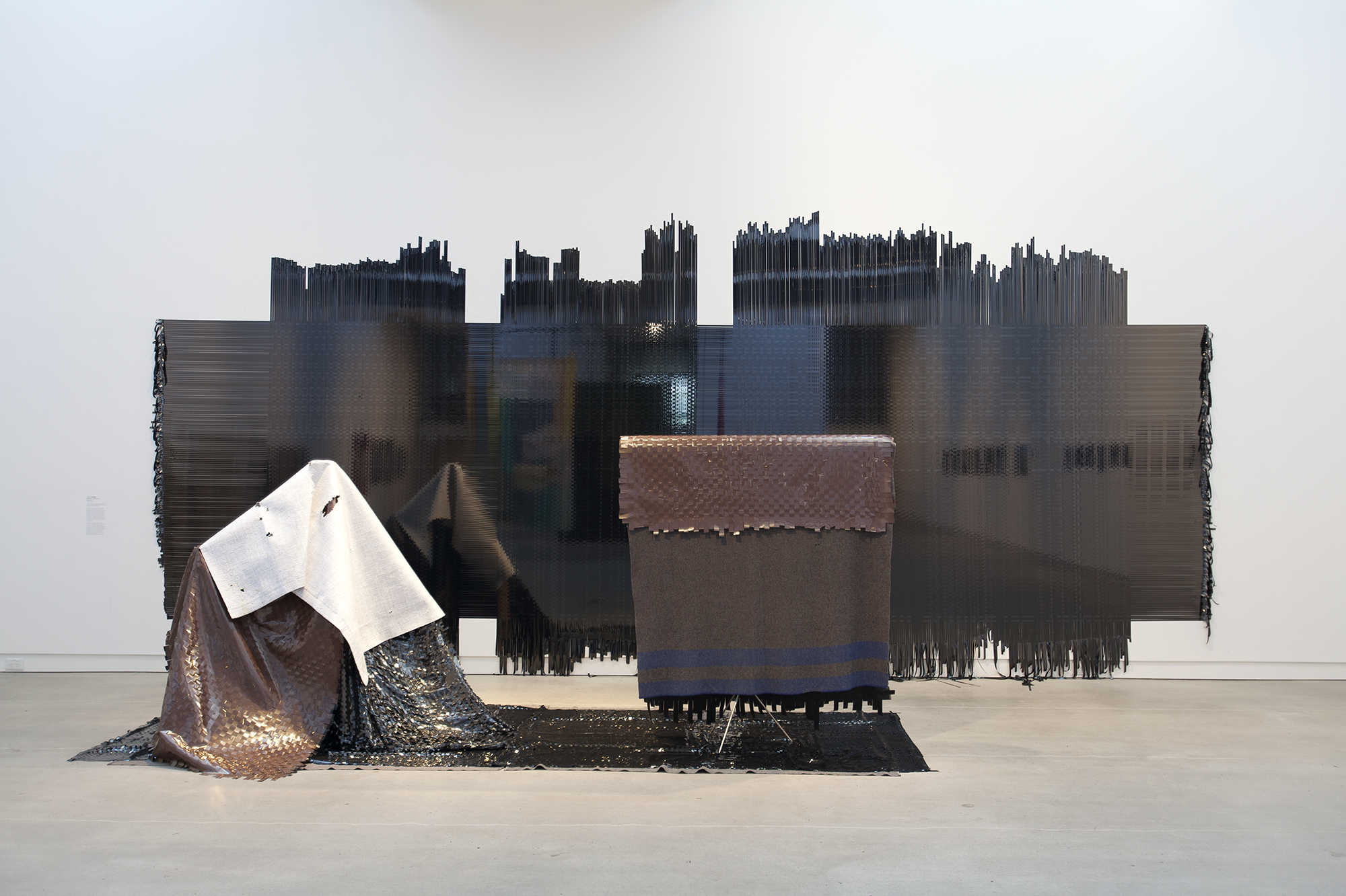 'Wild South—Young Mountains', 2016 Scott Flanagan Photo Credit: Daniela Aebli