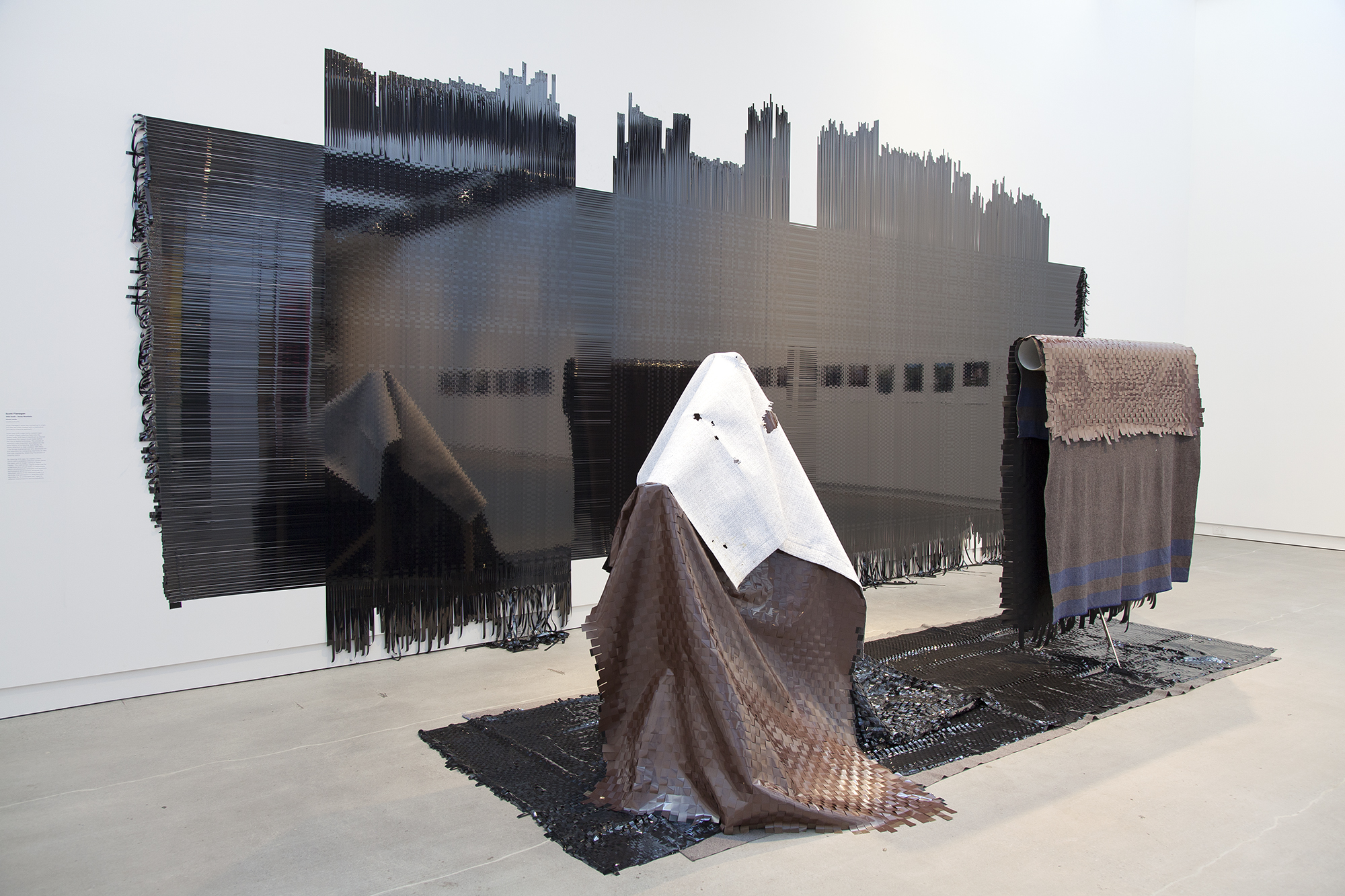 'Wild South—Young Mountains', 2016 Scott Flanagan Photo Credit: Daniela Aebli