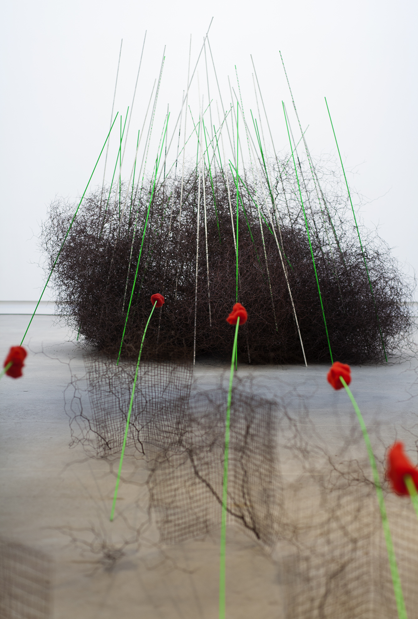 'Towards the Light', 2016 Pauline Rhodes Photo Credit: Daniela Aebli