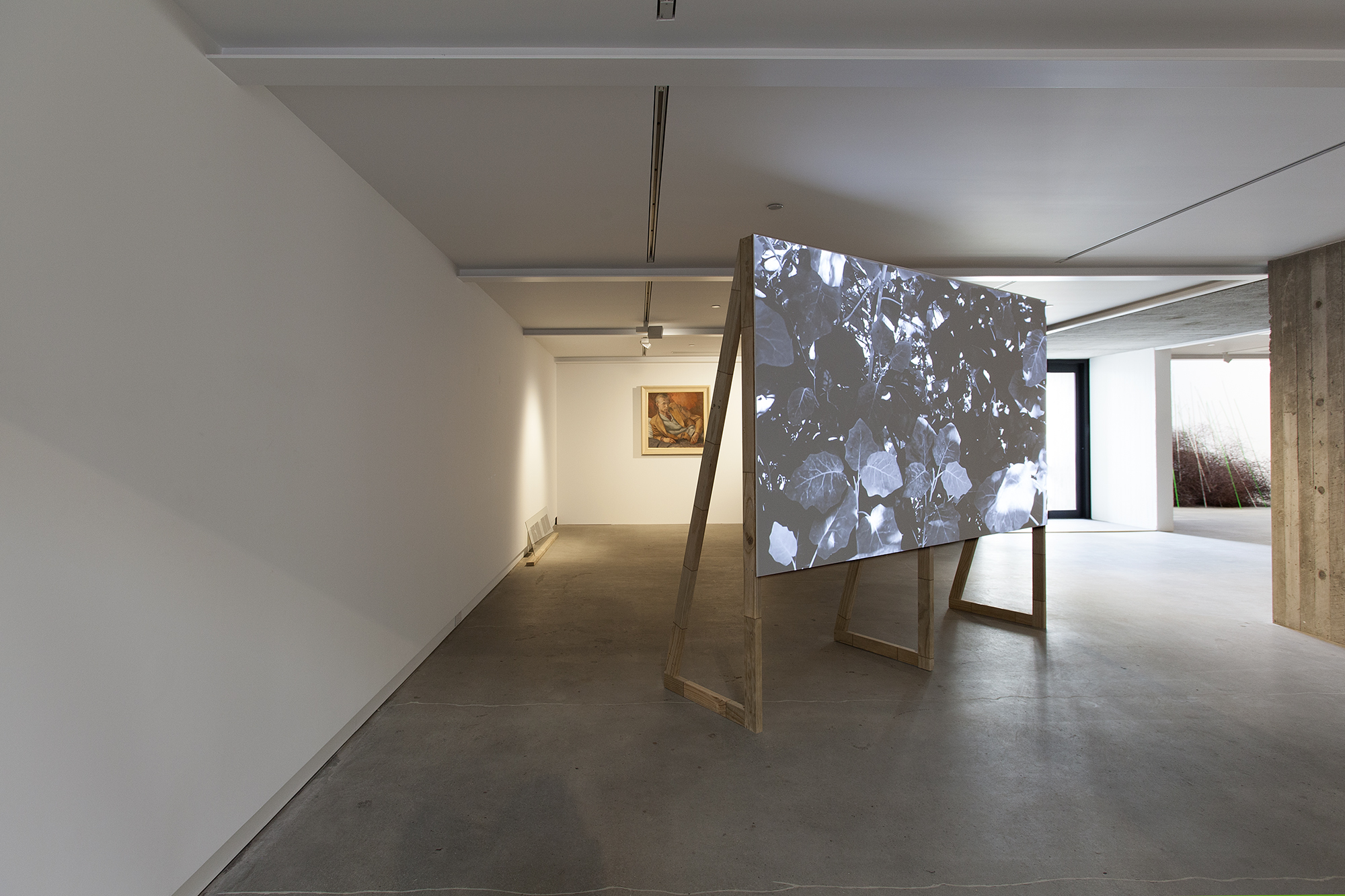 'Sutton's Garden', 2016 Daegen Wells Photo Credit: Daniela Aebli