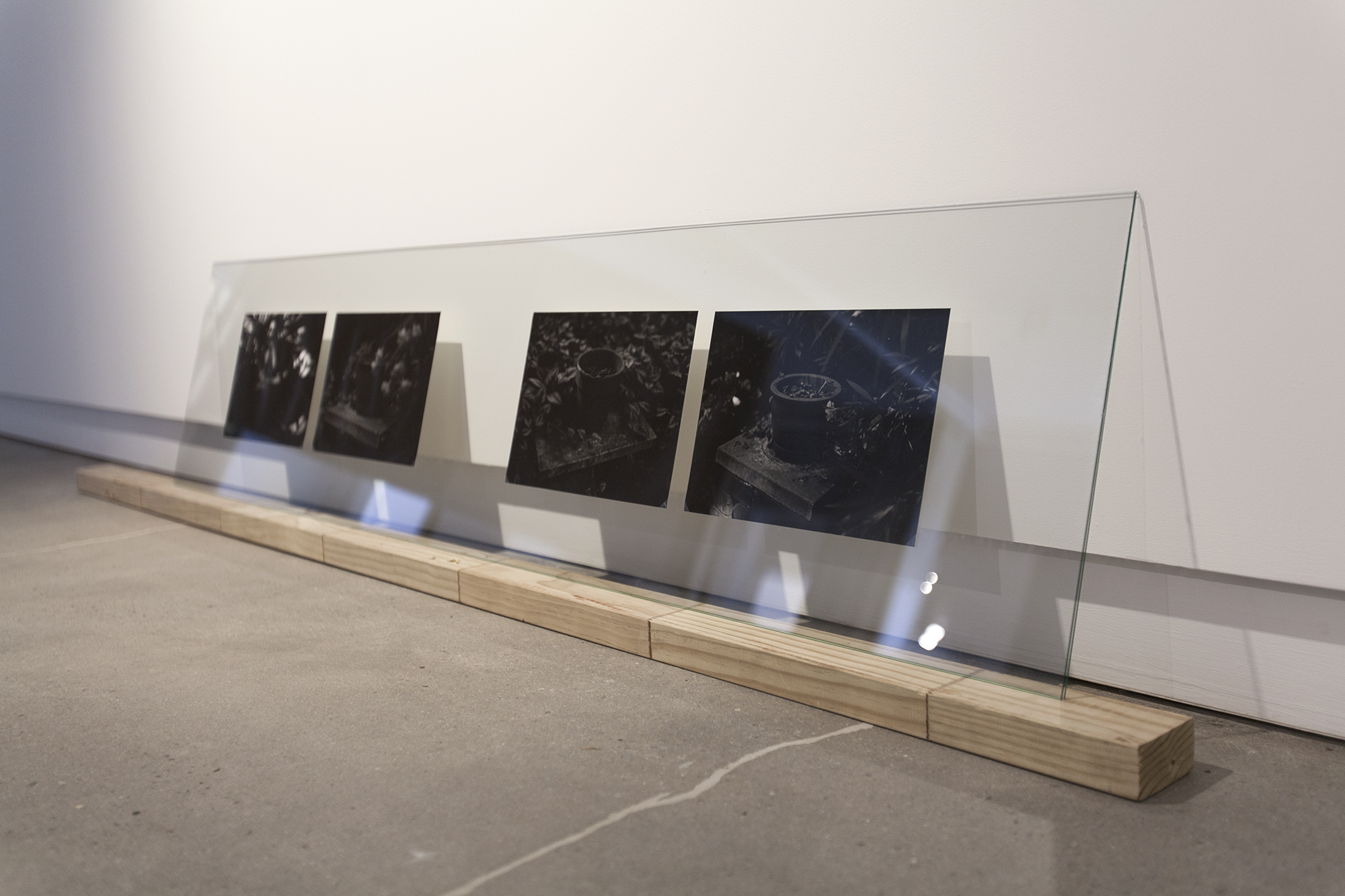 'Sutton's Garden', 2016 Daegan Wells Photo Credit: Daniela Aebli