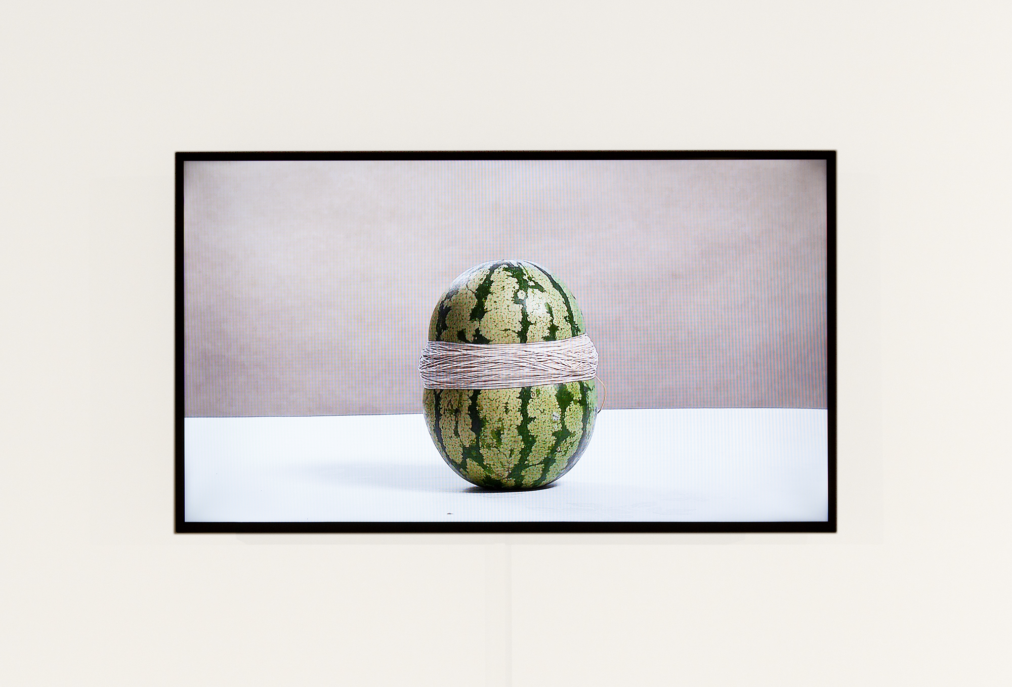 'Watermelon', 2015 Steve Carr Sony XDCam Duration 33mins 20secs Photo Credit: Daniela Aebli