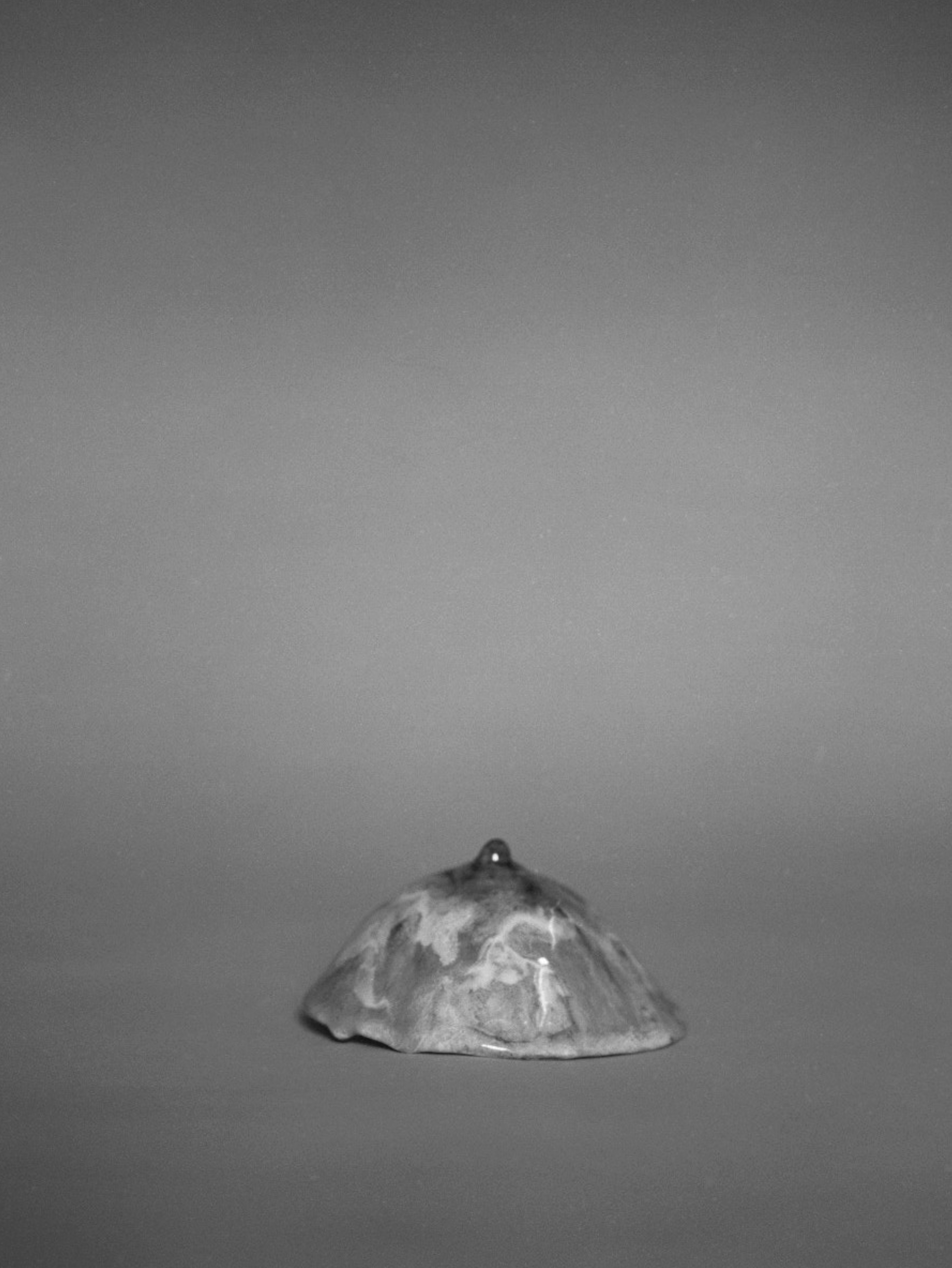 'Backwater', 2015 Sophie Bannan