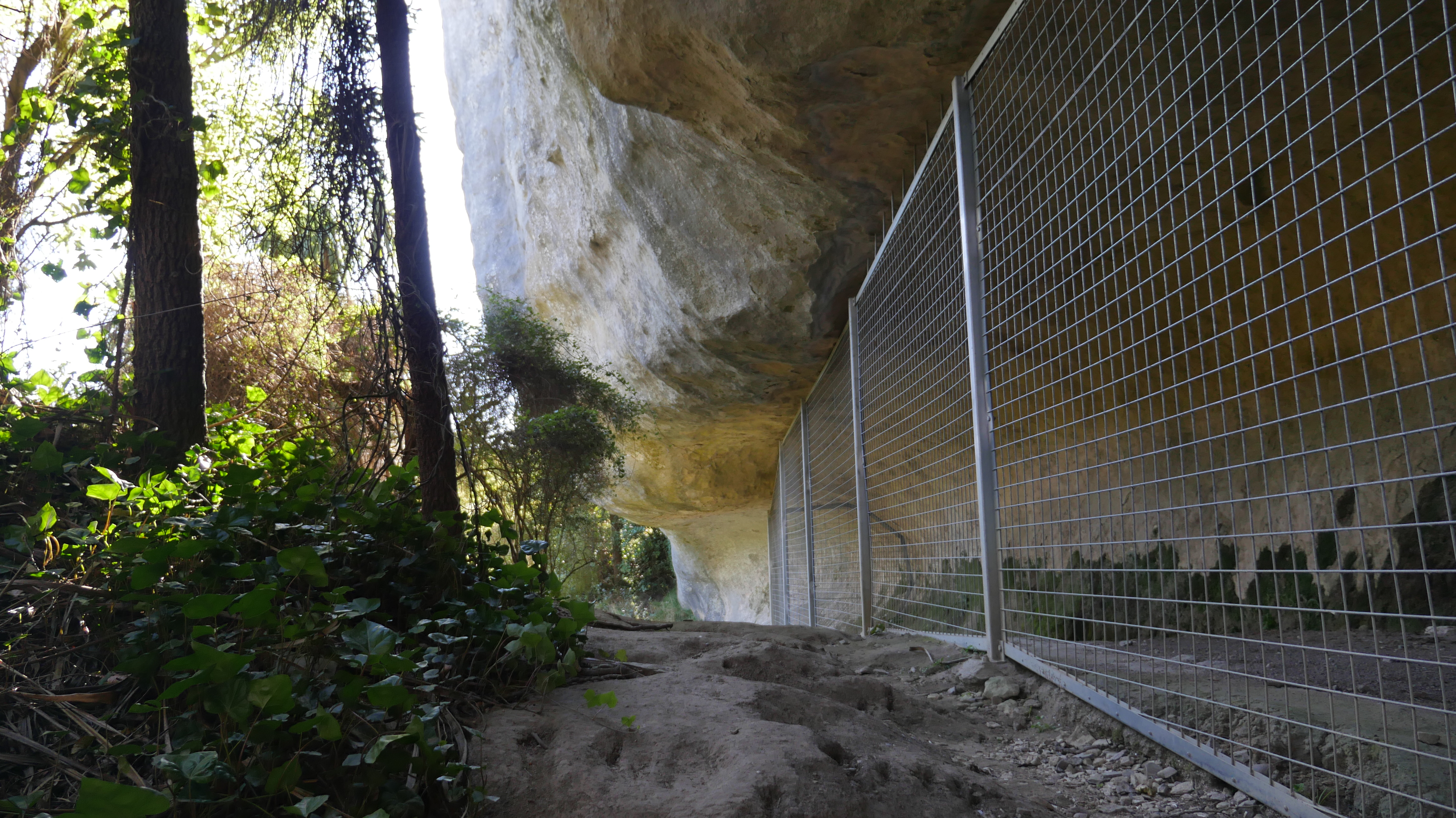 South Canterbury rock art site. Photo by Rachael Rakena