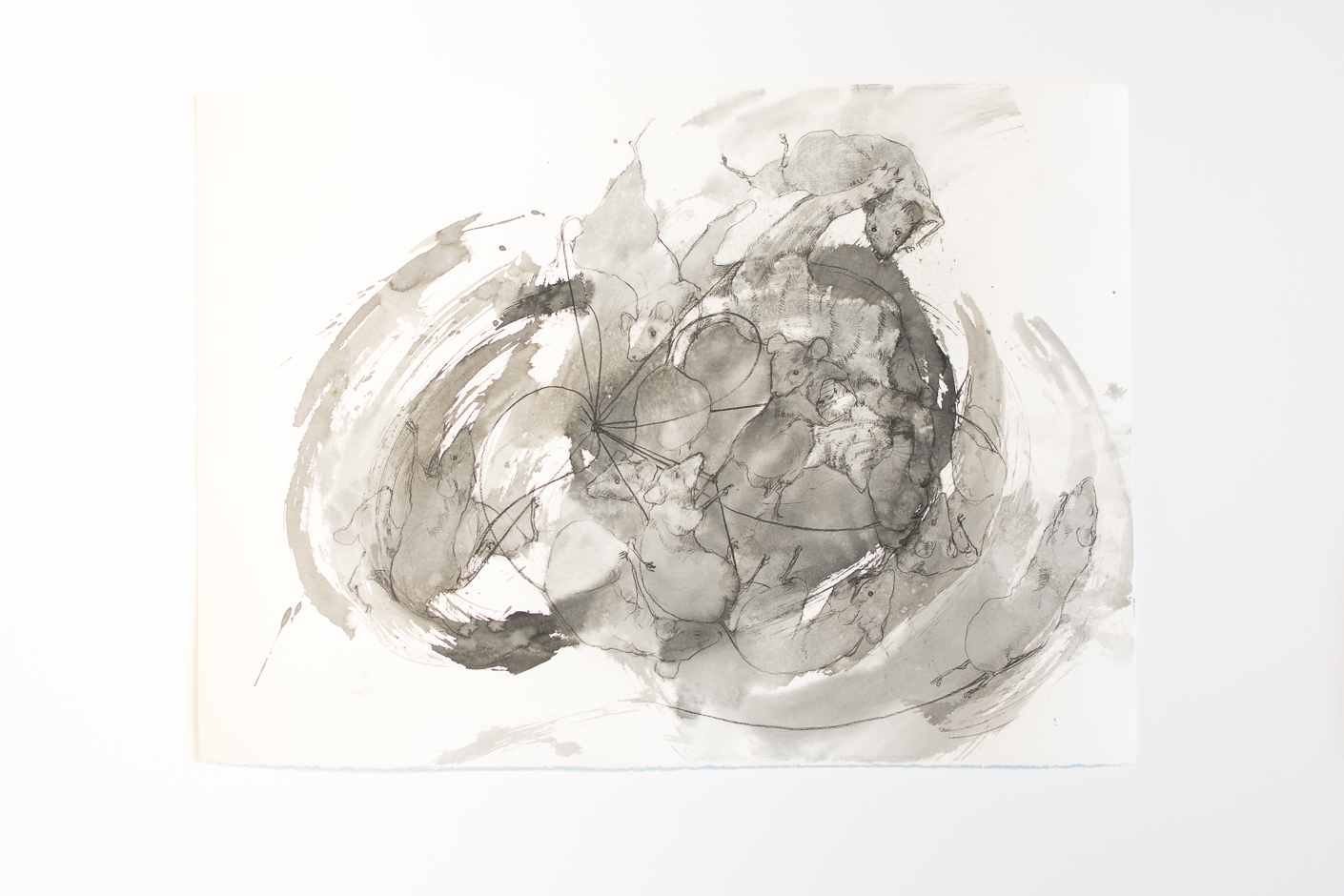 Hannah Beehre, Rat King (detail), 2017. Ink and charcoal on paper, 760 x 1050 mm. Photo by Janneth Gil.