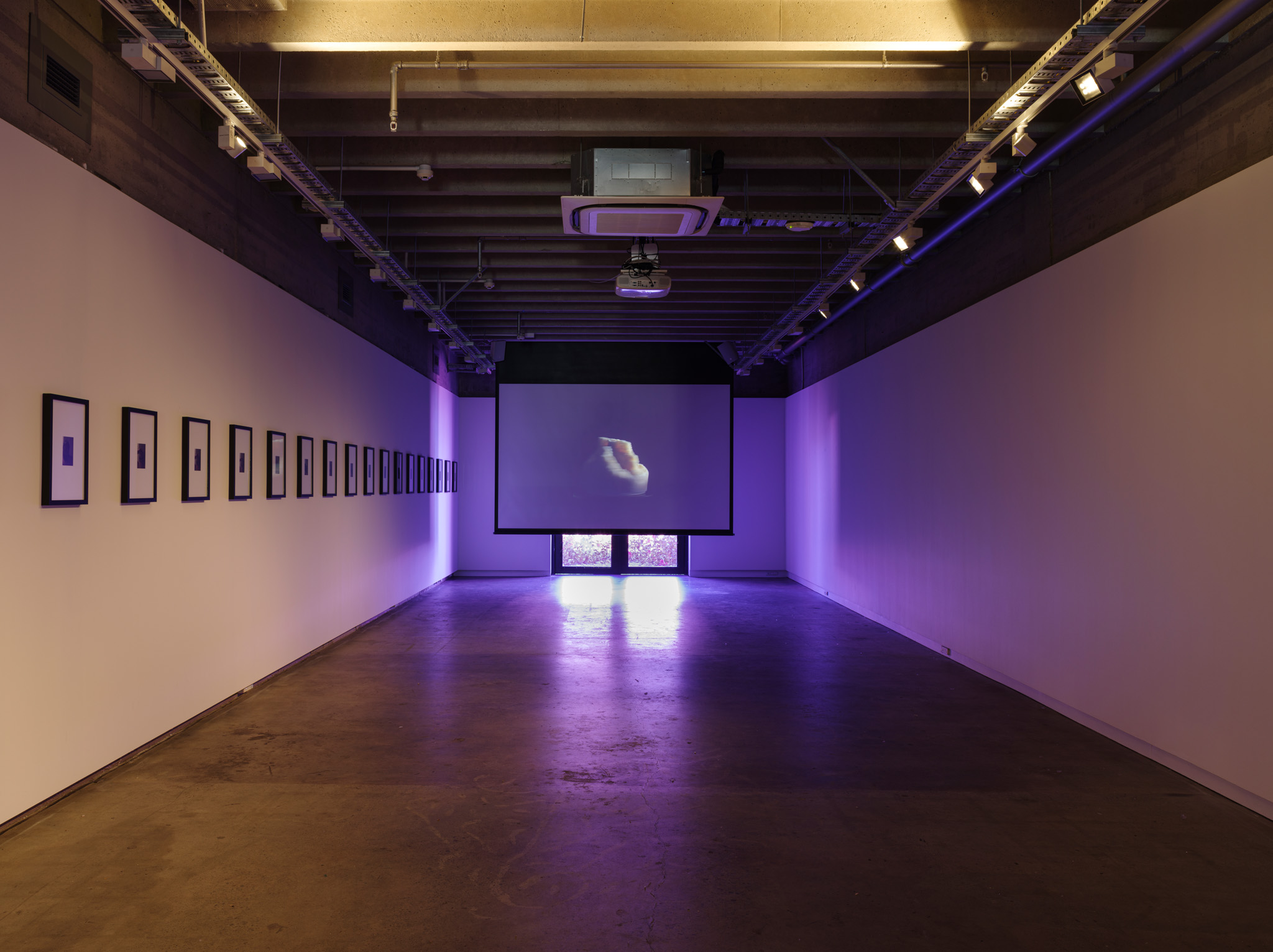 Installation view of 'Fading to the Sky' at CoCA, 2021, Christian Lamont, Steve Carr