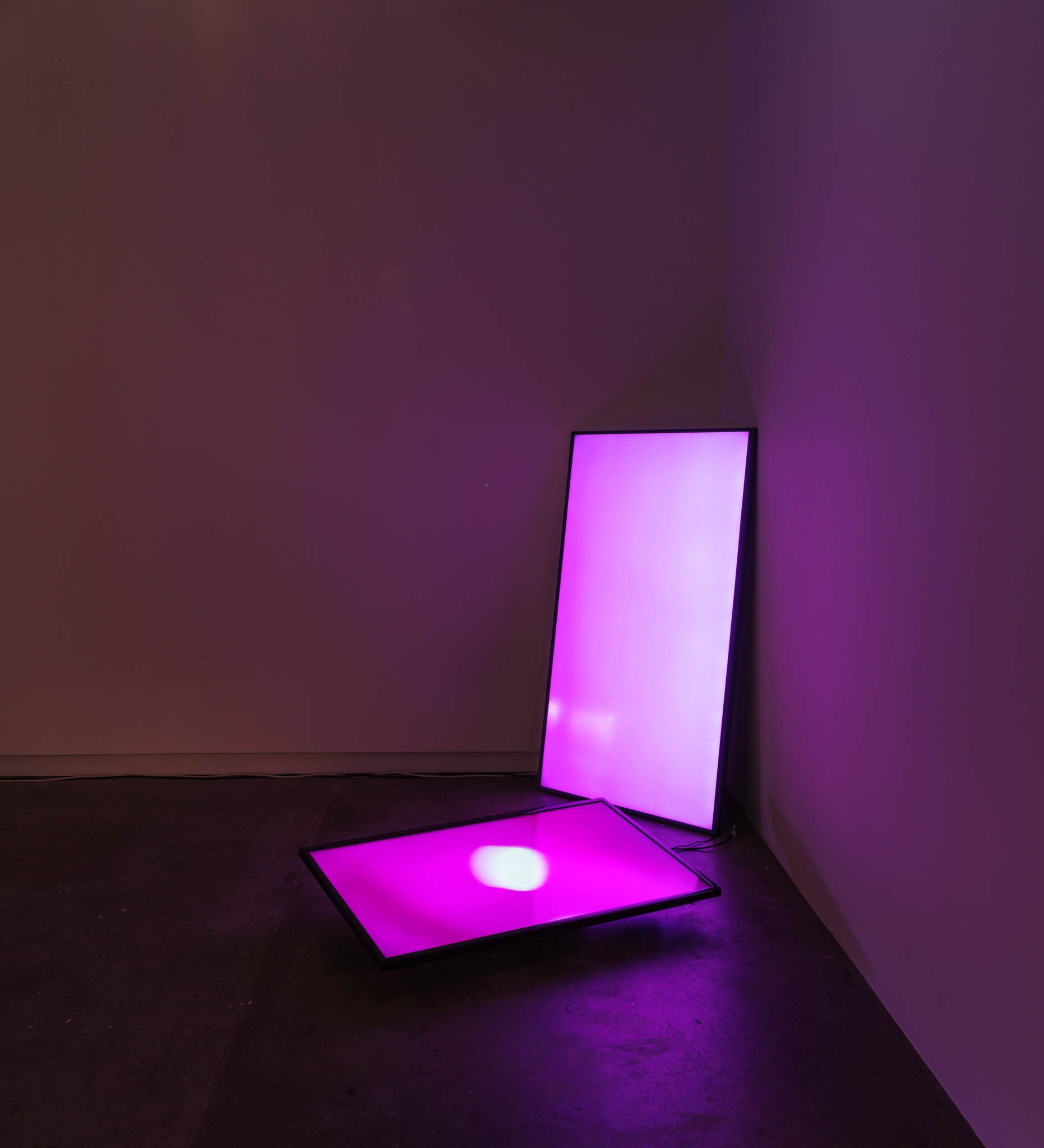 Installation view of 'Fading to the Sky' at CoCA, 2021, Christian Lamont, Steve Carr