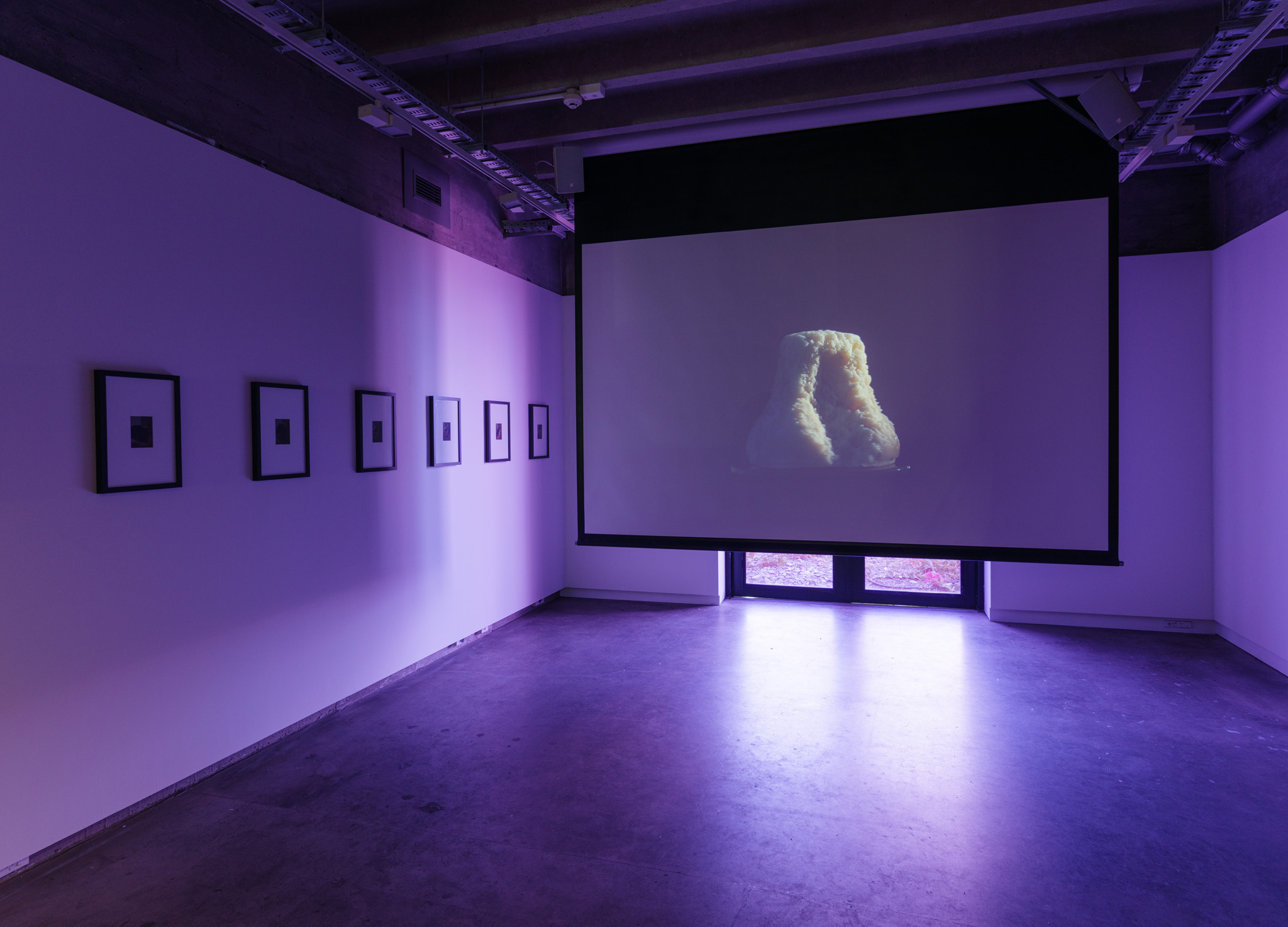 Installation view of 'Fading to the Sky' at CoCA, 2021, Christian Lamont, Steve Carr