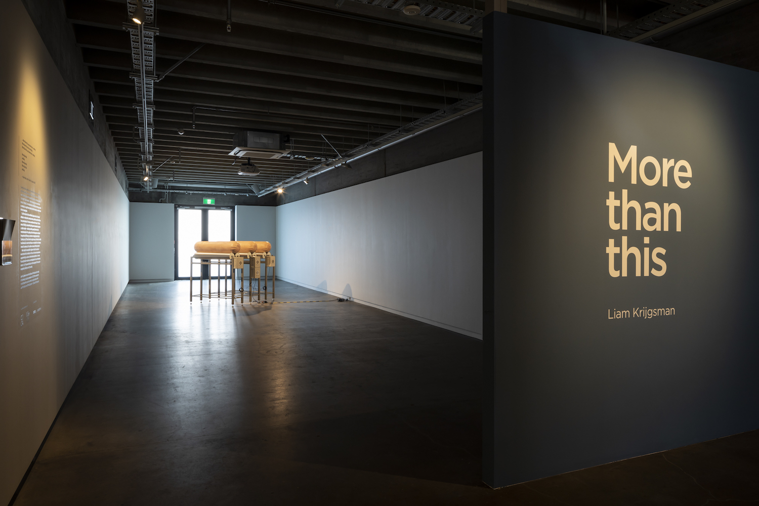 'More than This' Installation view, CoCA 2022, photo credit Sarah Rowlands