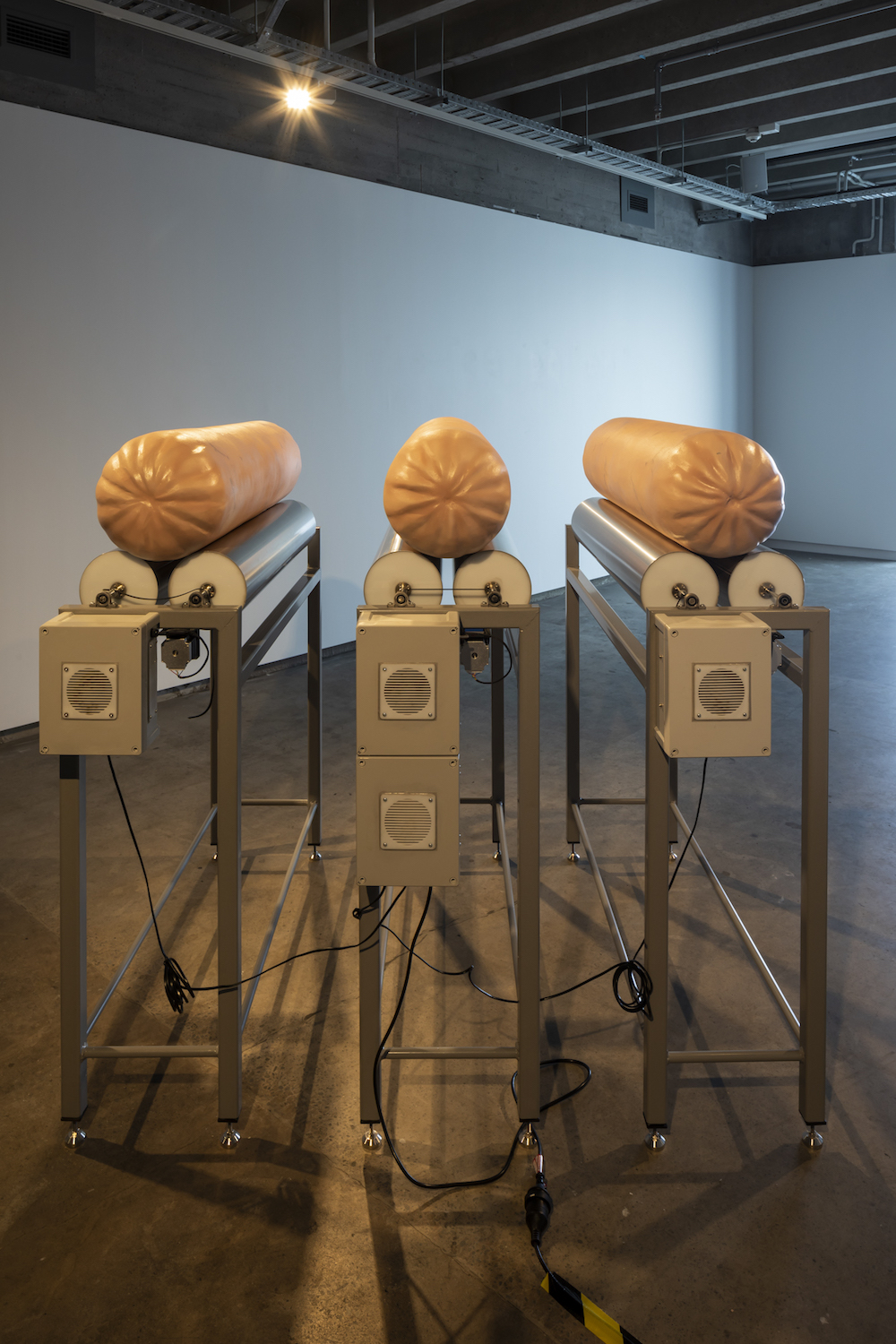 'More than This' Installation view, CoCA 2022, photo credit Sarah Rowlands