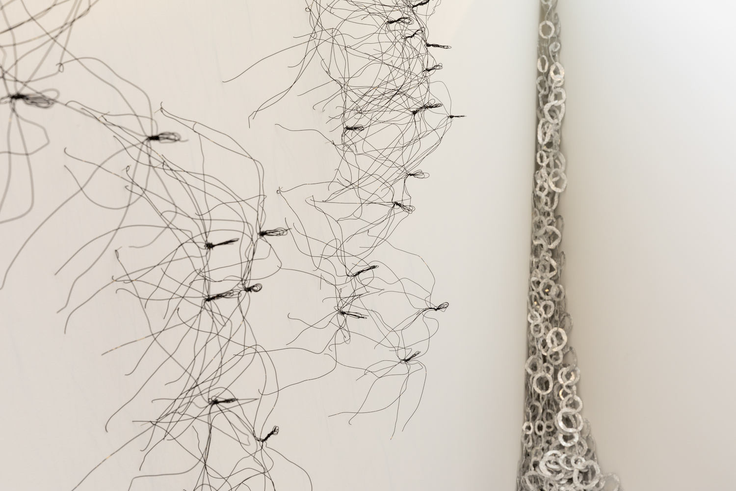 'Itch' and 'Foil' detail Judy Darragh. CoCA Installation March 2022, Photo Credit Sarah Rowlands