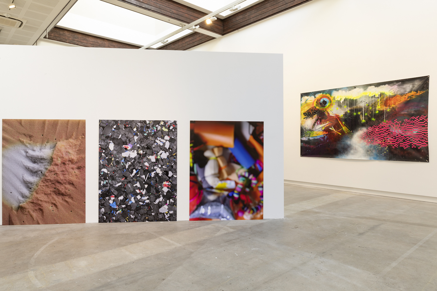 'Bite' 2022, 'Crunch' 2021, 'Stroke' 2021, 'Spotter' 2012 Judy Darragh. CoCA Installation March 2022, Photo Credit Sarah Rowlands