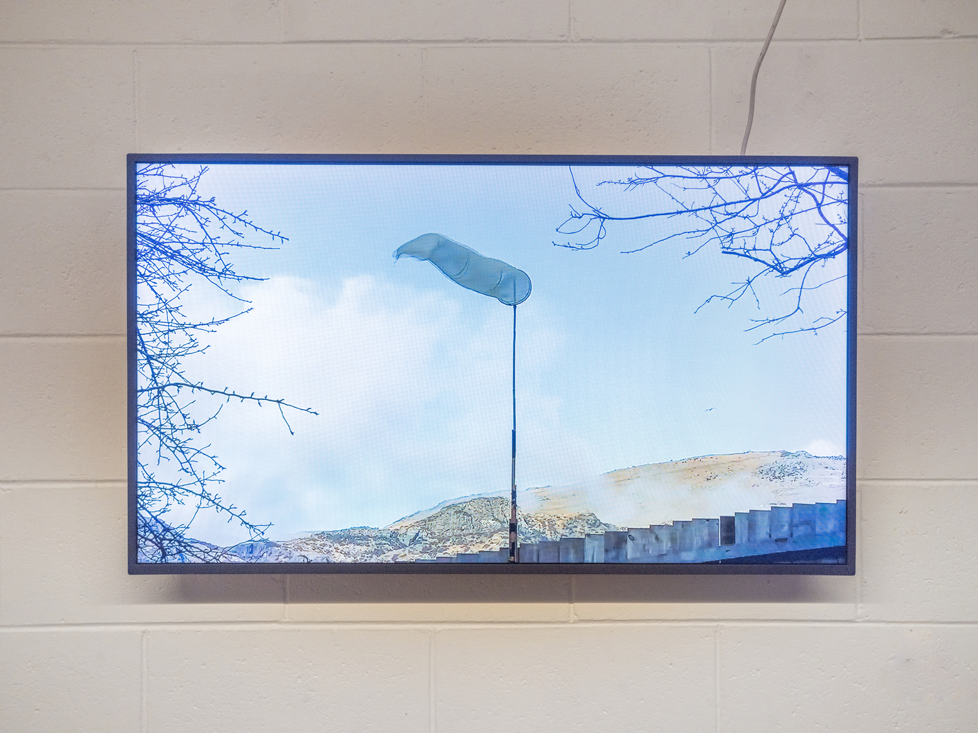 'Last Swim of the Summer' Ali Nightingale Install shot Sam Quinn