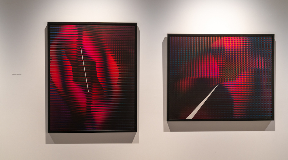 David Molony 'Lenticluar Forms of Rhododendrons 1 & 2' (each 800 x 1000mm) archival pigments ink on alumninium Image Credit David Molony