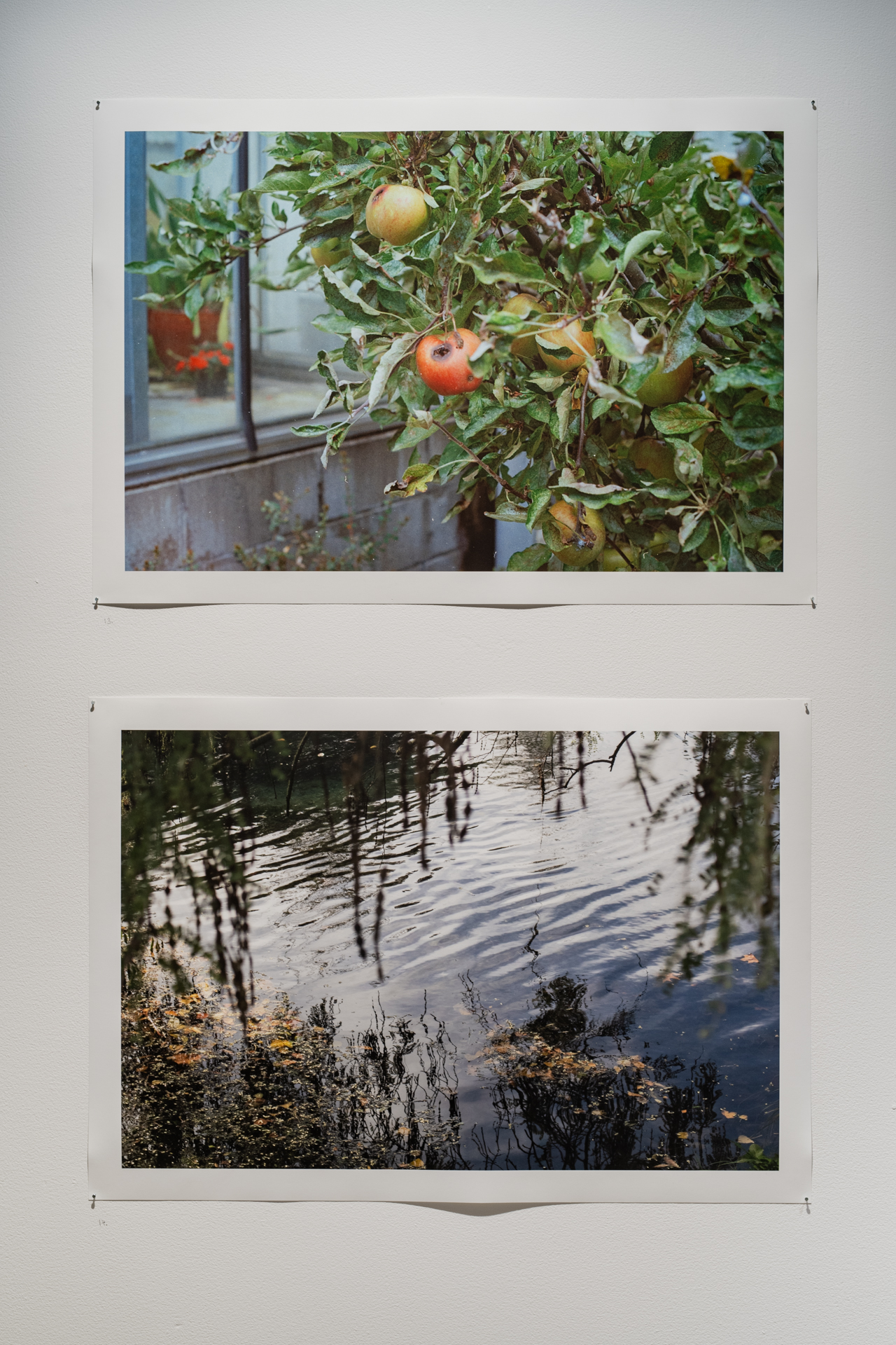 Kirsty de Heer, 'Decay', 'Reflect', Photo Credit Jamie Price and Owen Spargo