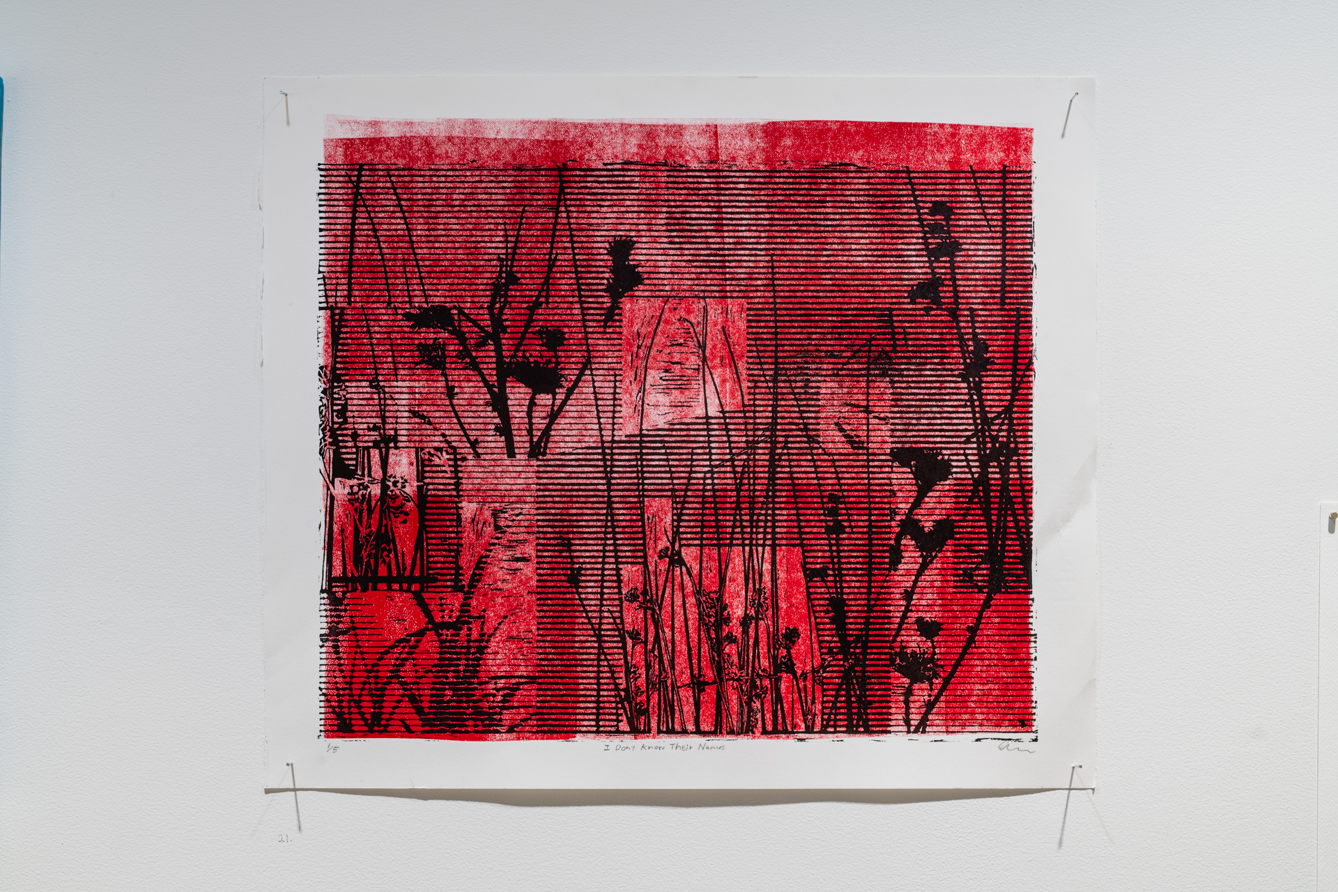 Oskar Malis, 'I don't know their names', Photo Credit Jamie Price and Owen Spargo