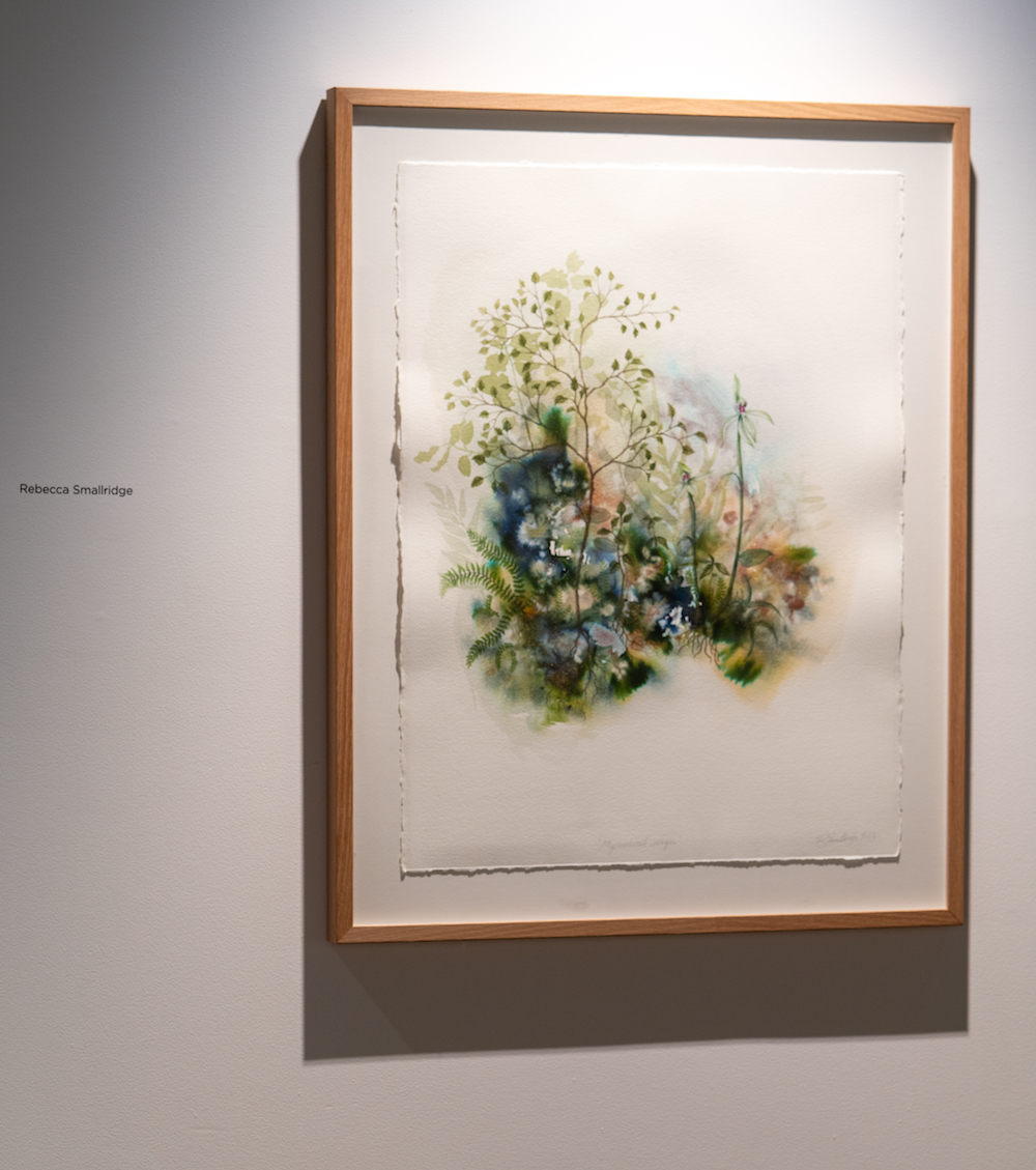 Rebecca Smallridge, 'Mycorrhizal magic' Image Credit David Molony
