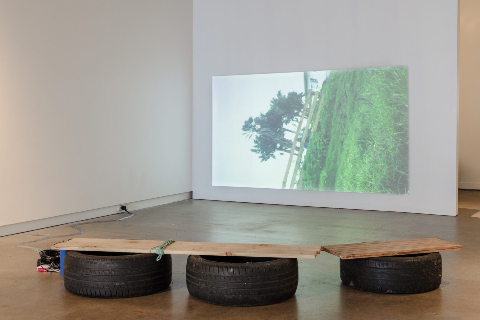 'duct-taped field survey', 2024, Gitanjali Bhatt Photo credit Owen Spargo