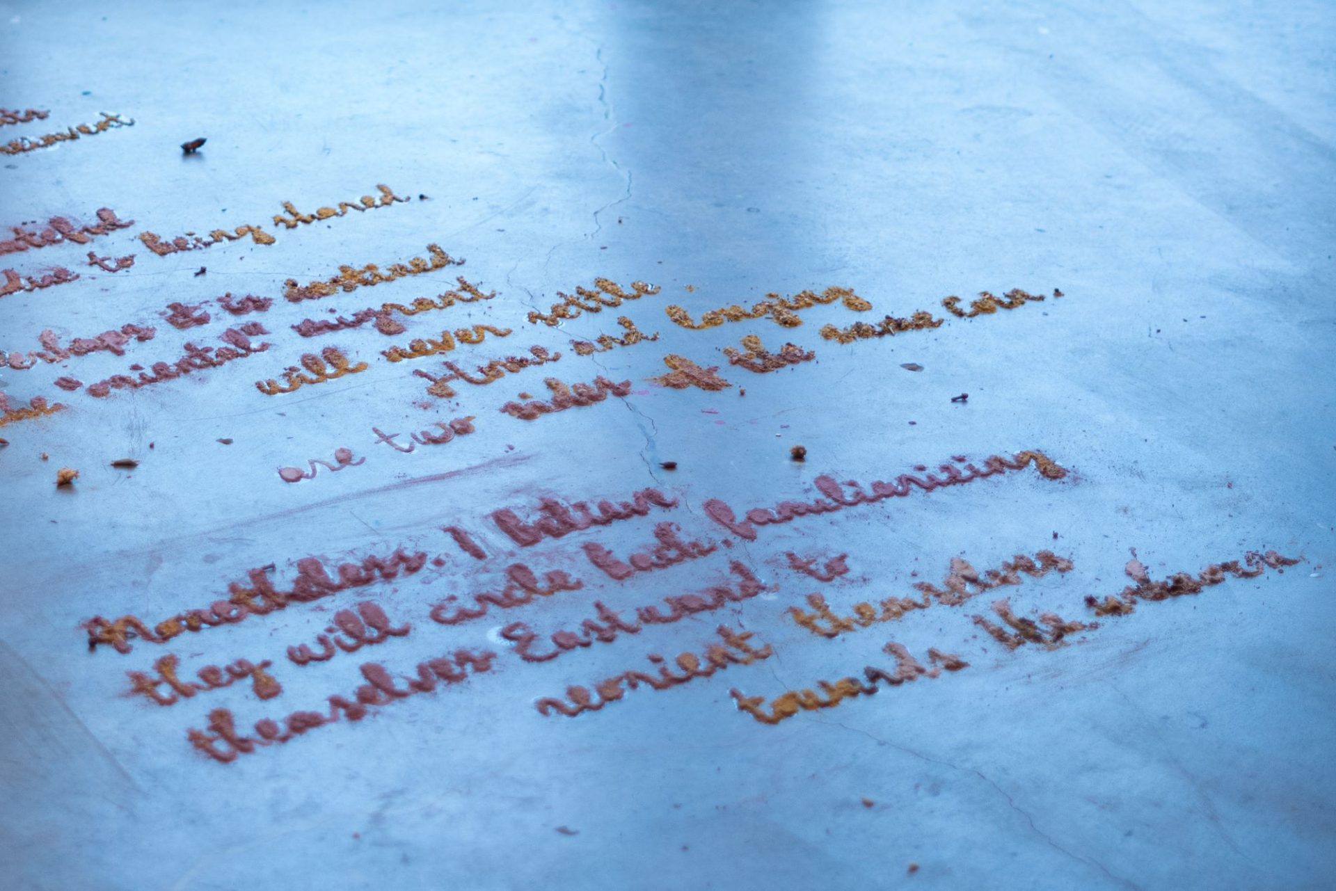 'Lands of Spice and Honey', - detail Tiffany Singh, Photo credit Owen Spargo