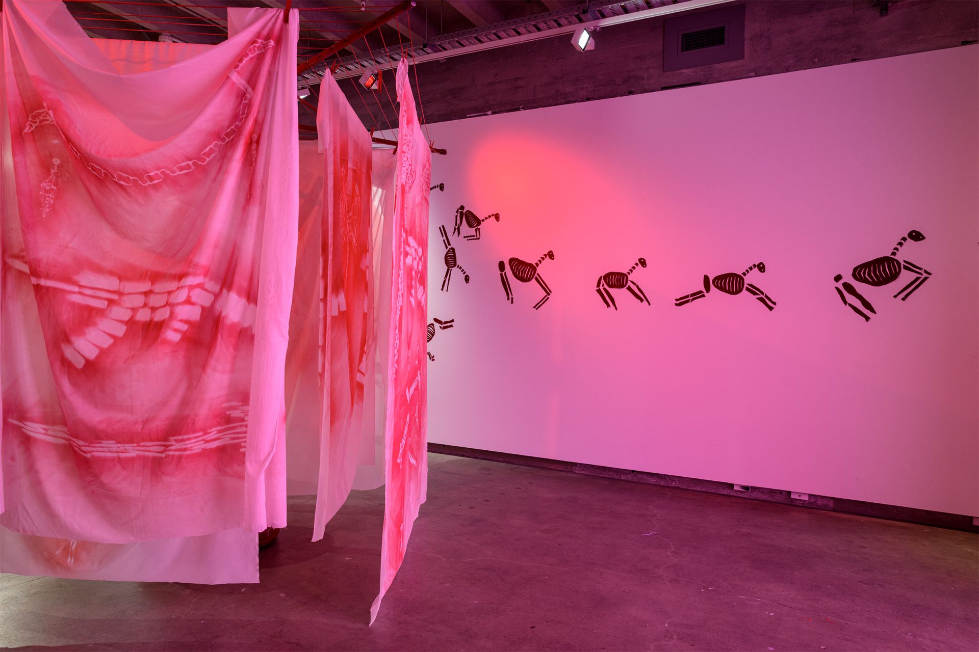 Install image: credit Owen Spargo