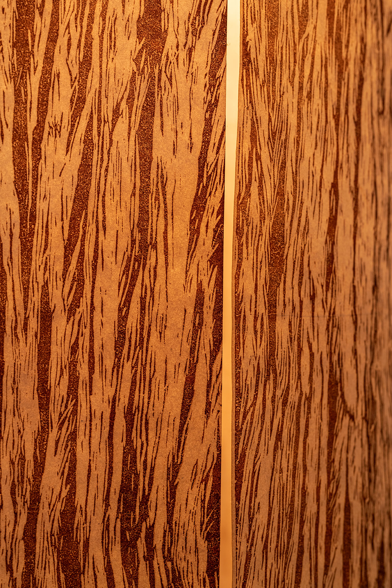 Emma Kitson, 'Maku Koe e tāwharautia', 2022 - detail, Photo Credit Owen Spargo