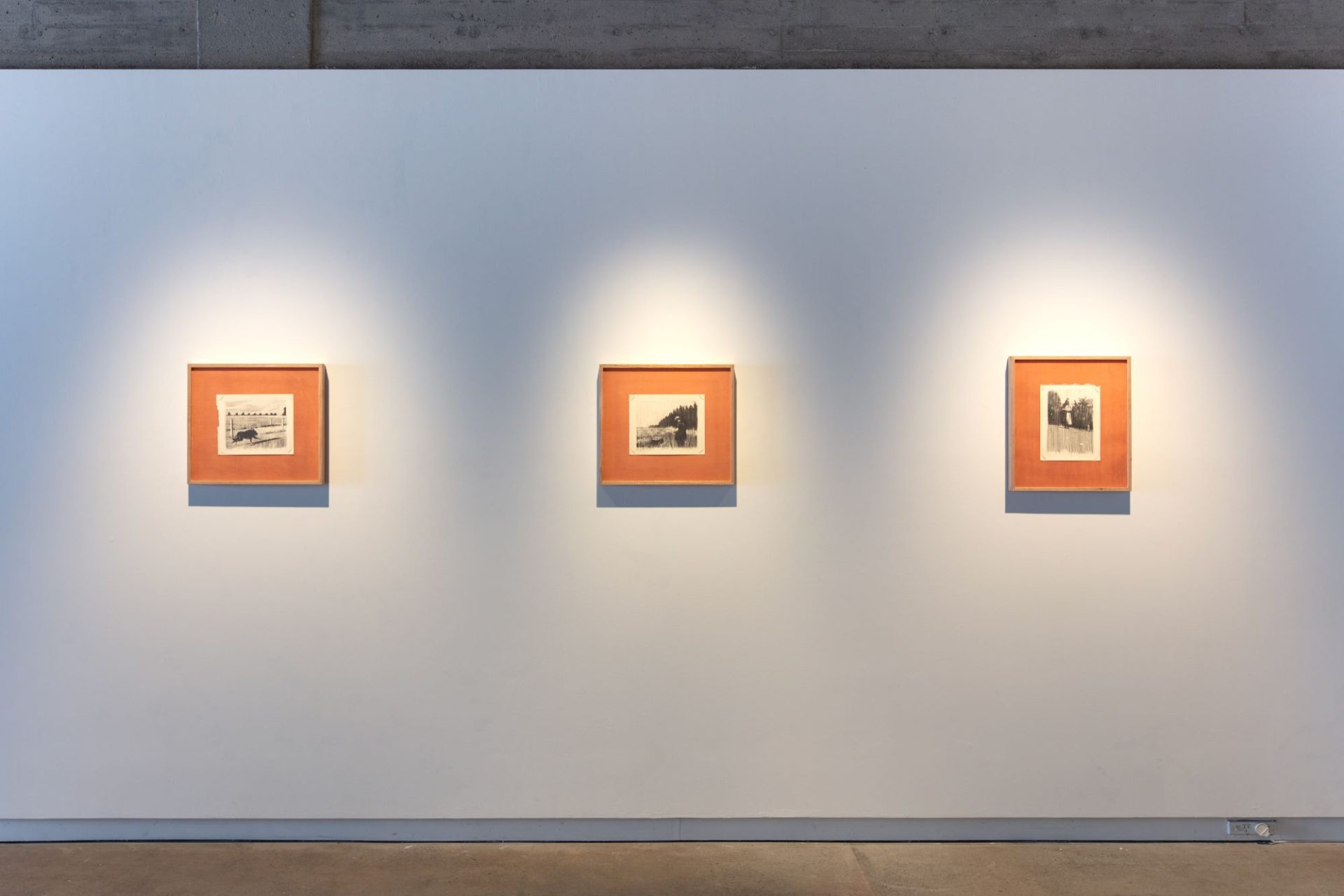 'Sublunary Drawings' - install shot 2024 Hamish Coleman Photo credit Owen Spargo