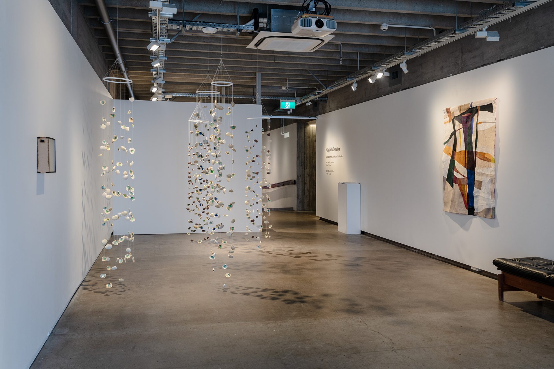 Ways of Knowing Part II, Installation View, Photo credit Owen Spargo