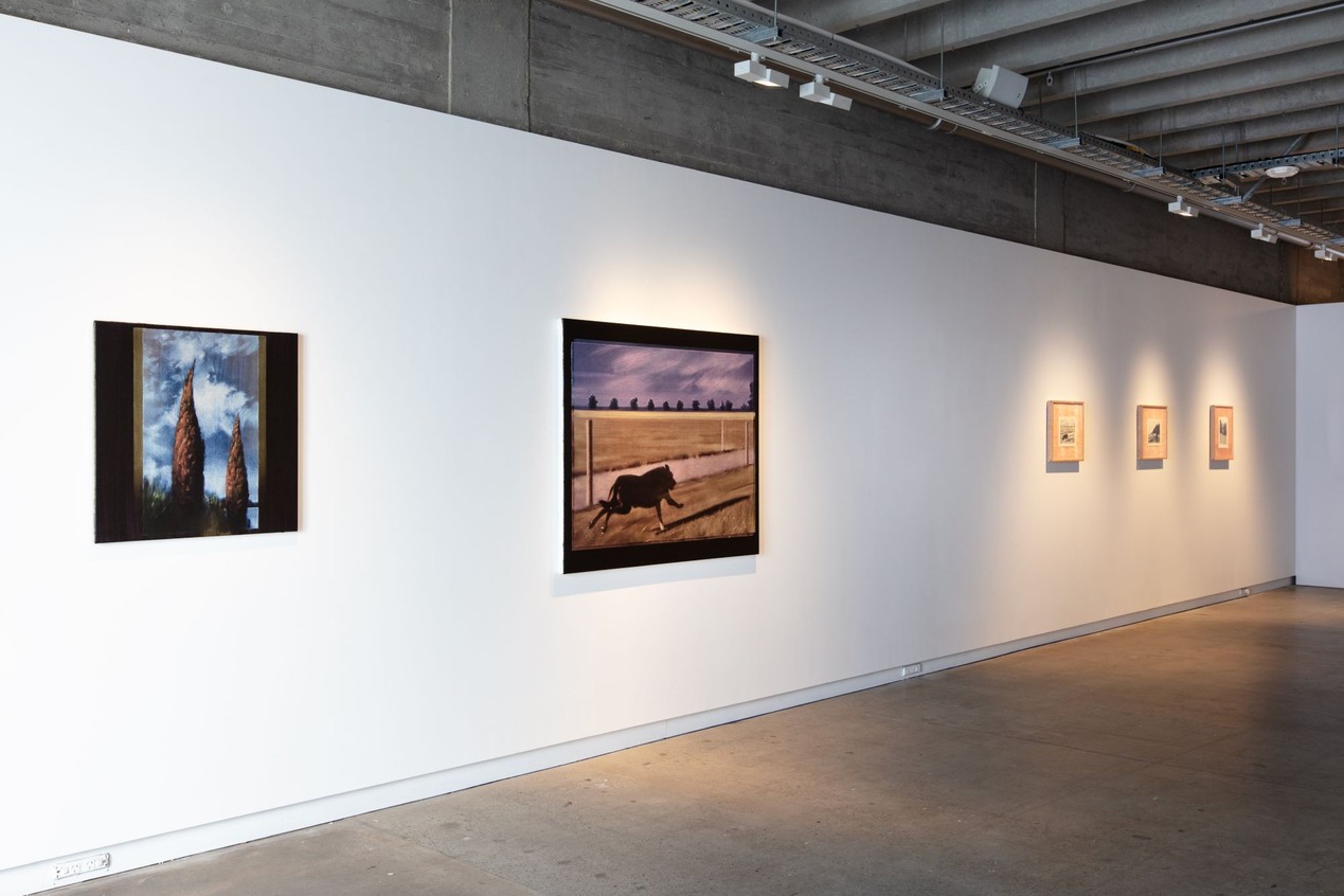 'The Fields' - Install shot, Hamish Coleman, Photo credit Owen Spargo