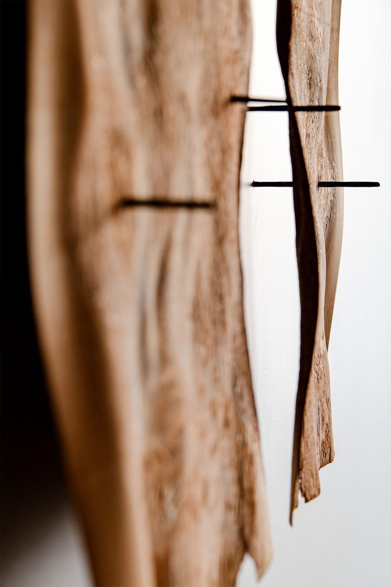 '26 degrees 1' Burl wood, citronella, pine 1090mm x 710mm 2025 detail Photo credit Owen Spargo