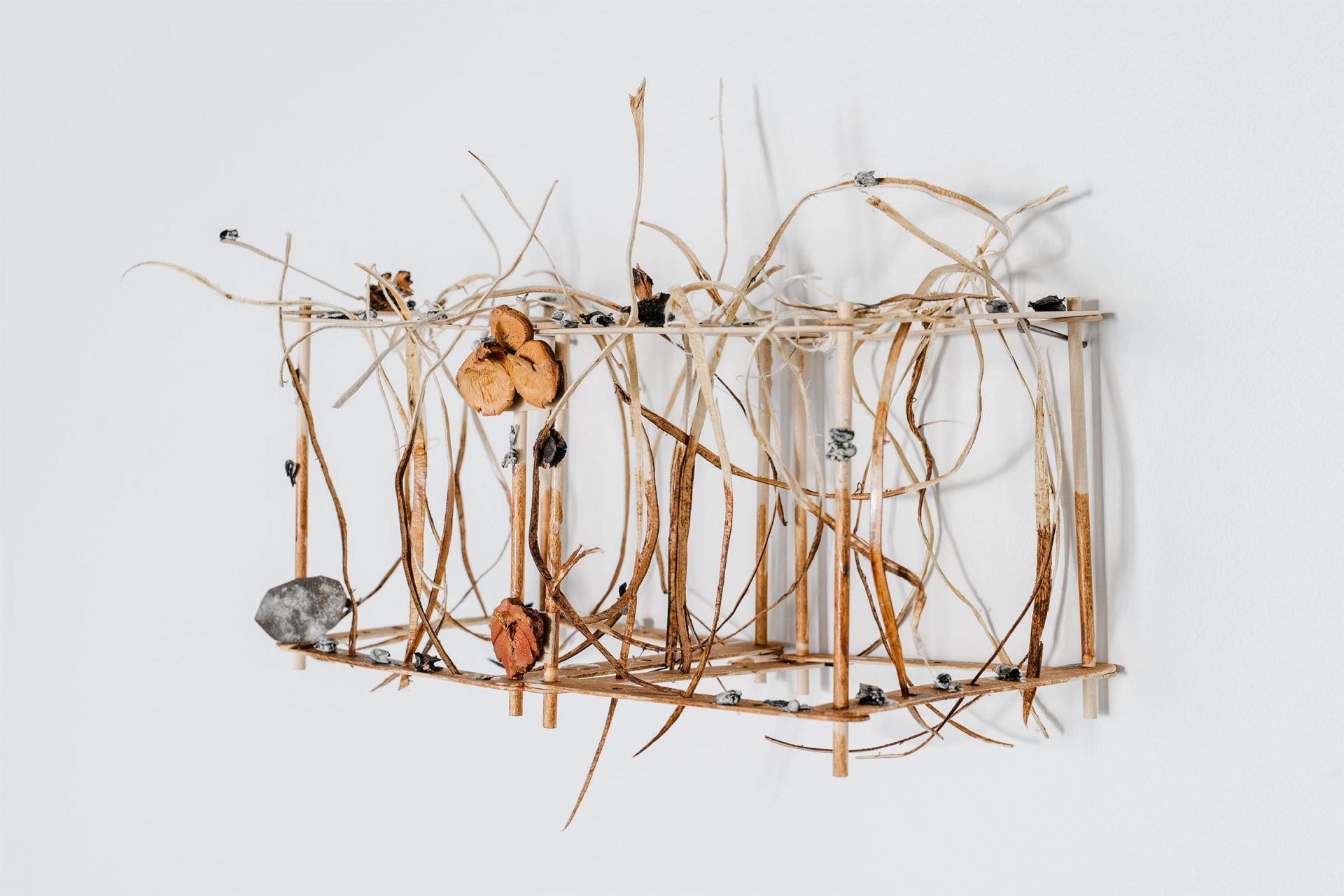 'Firecomb 3' Pine, match heads, varnish, seed head 300mm x 230mm 2025 Photo credit Owen Spargo