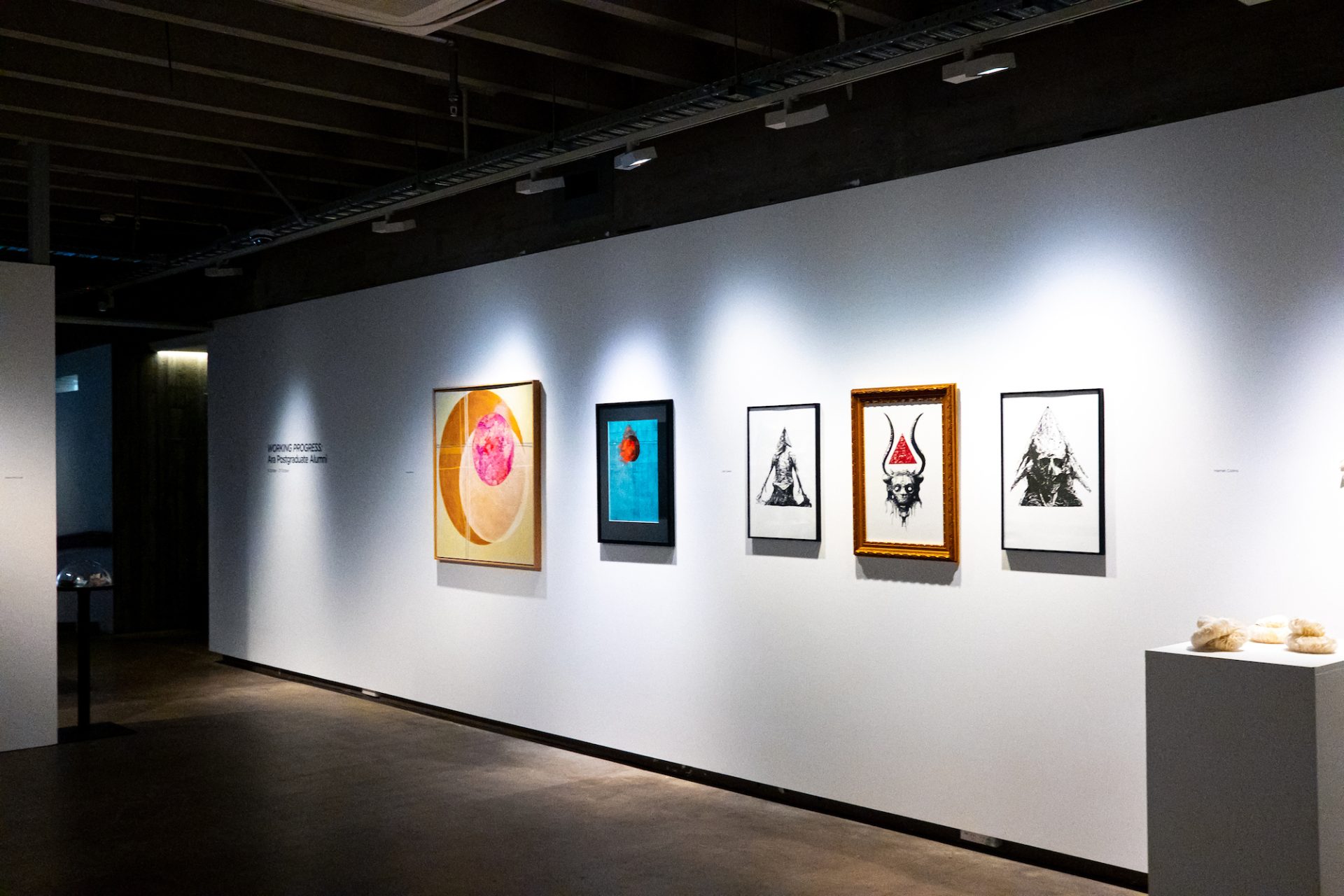 'WORKING PROGRESS', Installation shot Photo Credit Sam Quinn