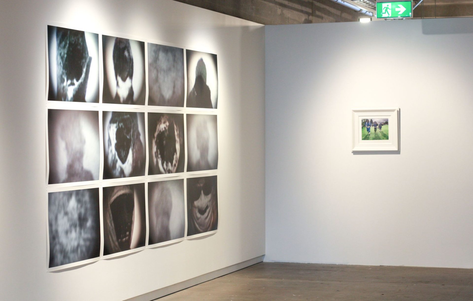Anne Noble, 'Phantasm: Discovering Antarctica' Installation shot Photo credit Rachel King