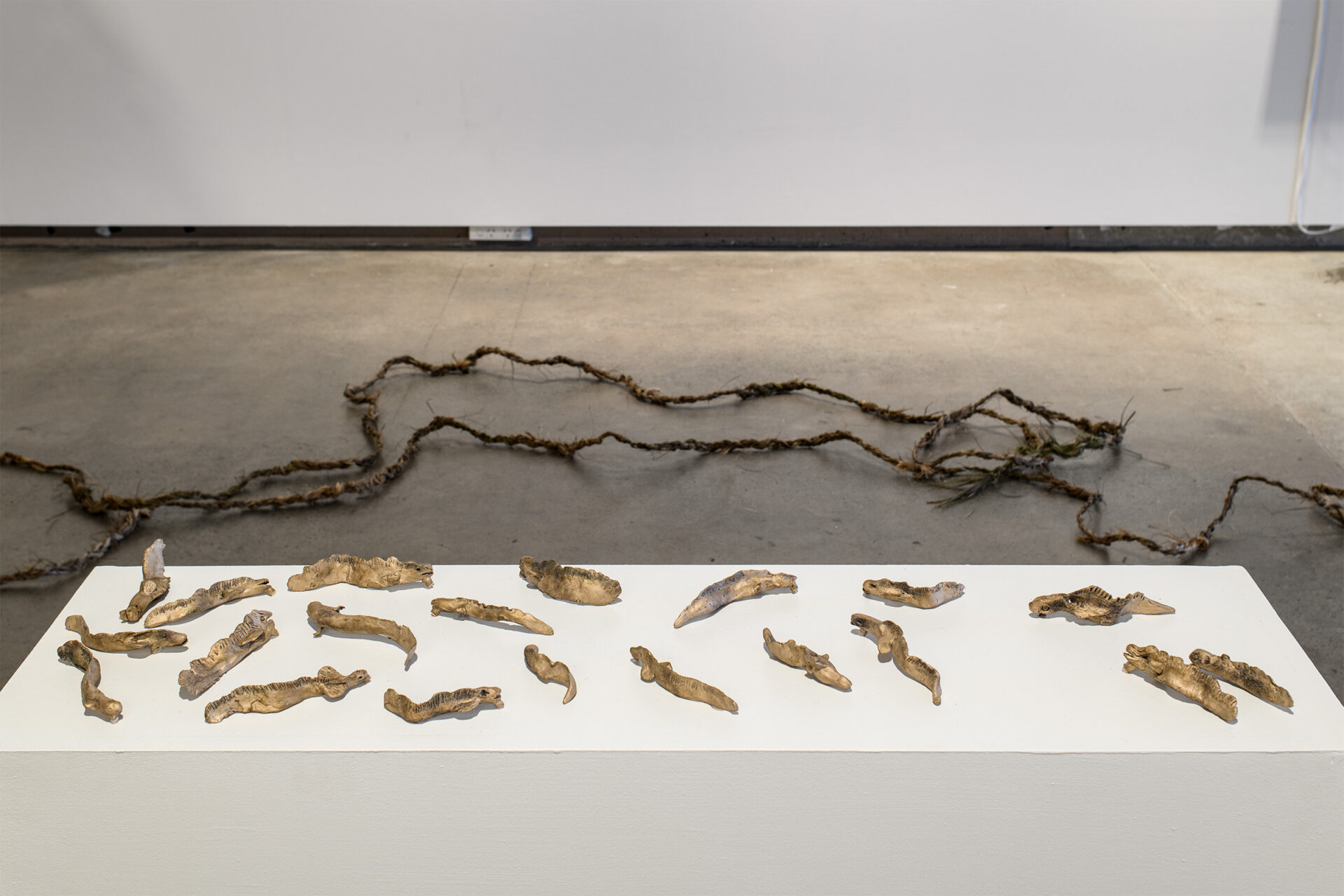 'Tuna' Bronze, 2025, Hana Pera Aoake and friends 'Māui slows the sun' Tī Kōuka rope with Pīngao, 2025 Hana Pera Aoake Photo credit Owen Spargo