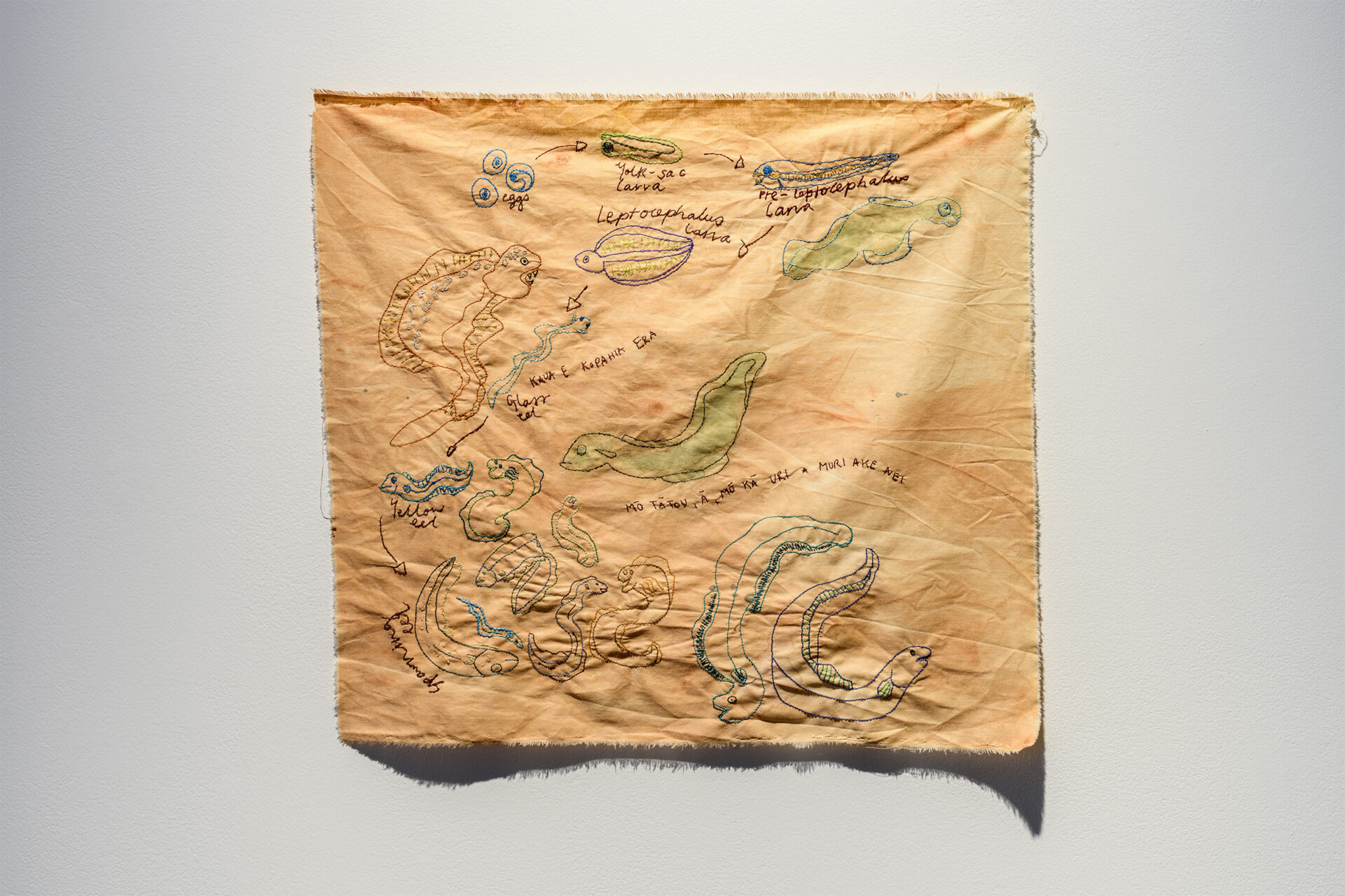 'He tuna ora, he wai ora', Hana Pera Aoake Whenua dyed cotton thread, 2025