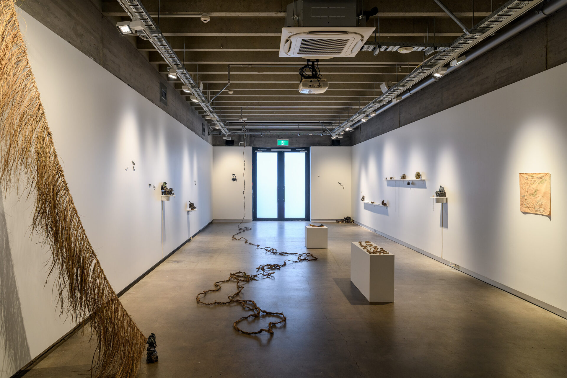Gallery view 'He tuna ora, he wai ora' Photo credit Owen Spargo