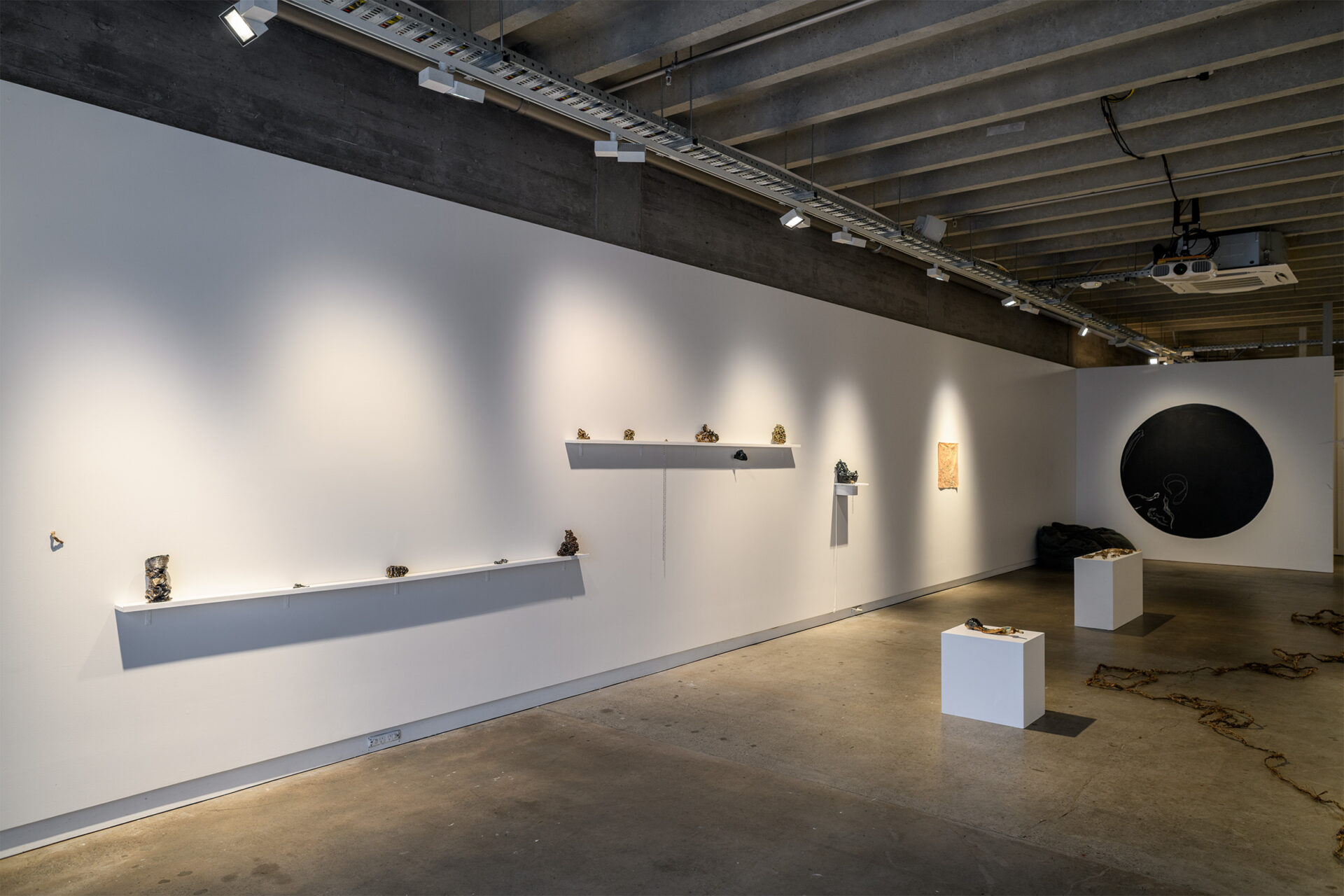 Gallery view 'He tuna ora, he wai ora' Photo credit Owen Spargo