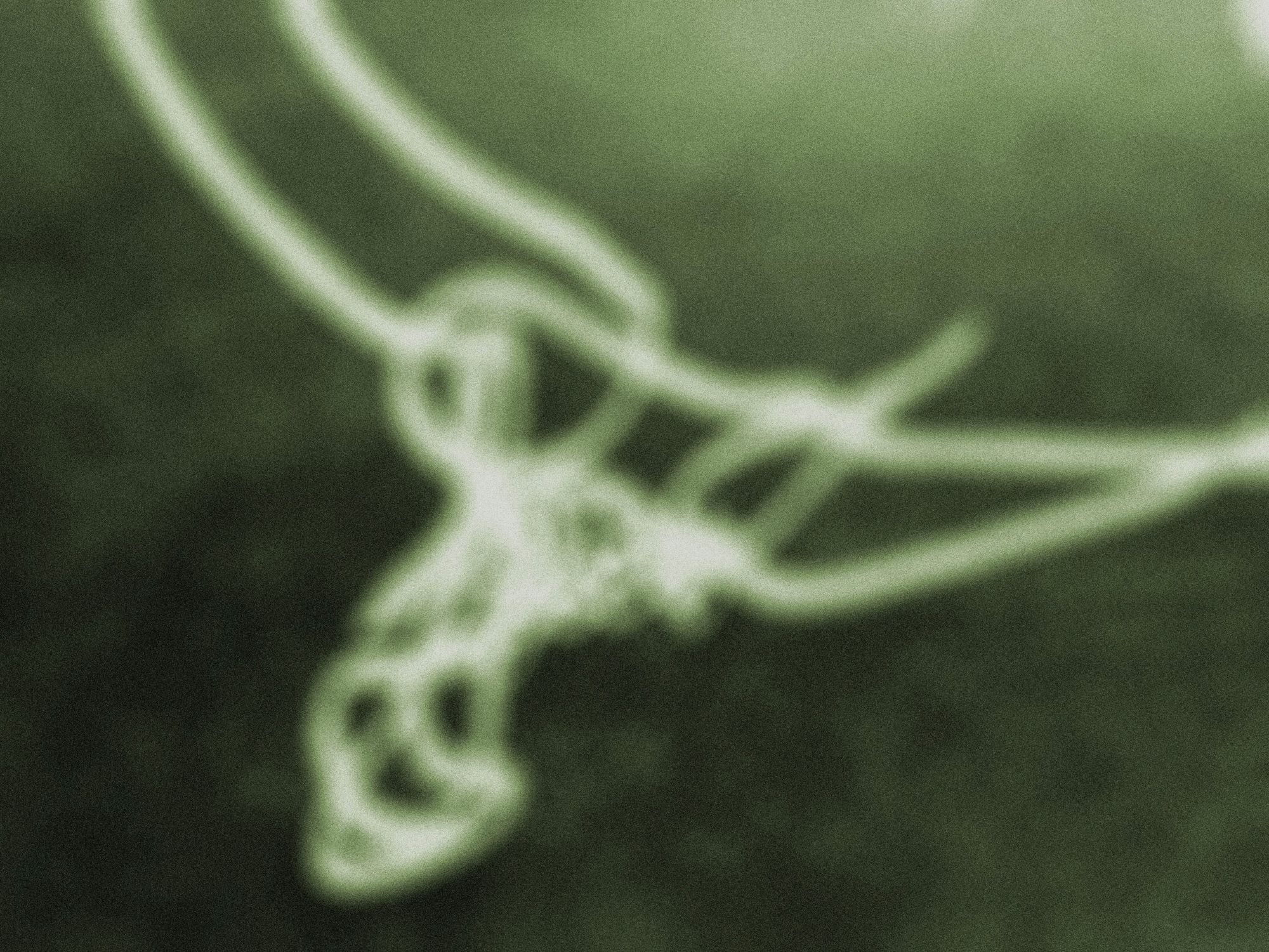 Based on an image from Olivia Moore, Ilam photography 3rd year