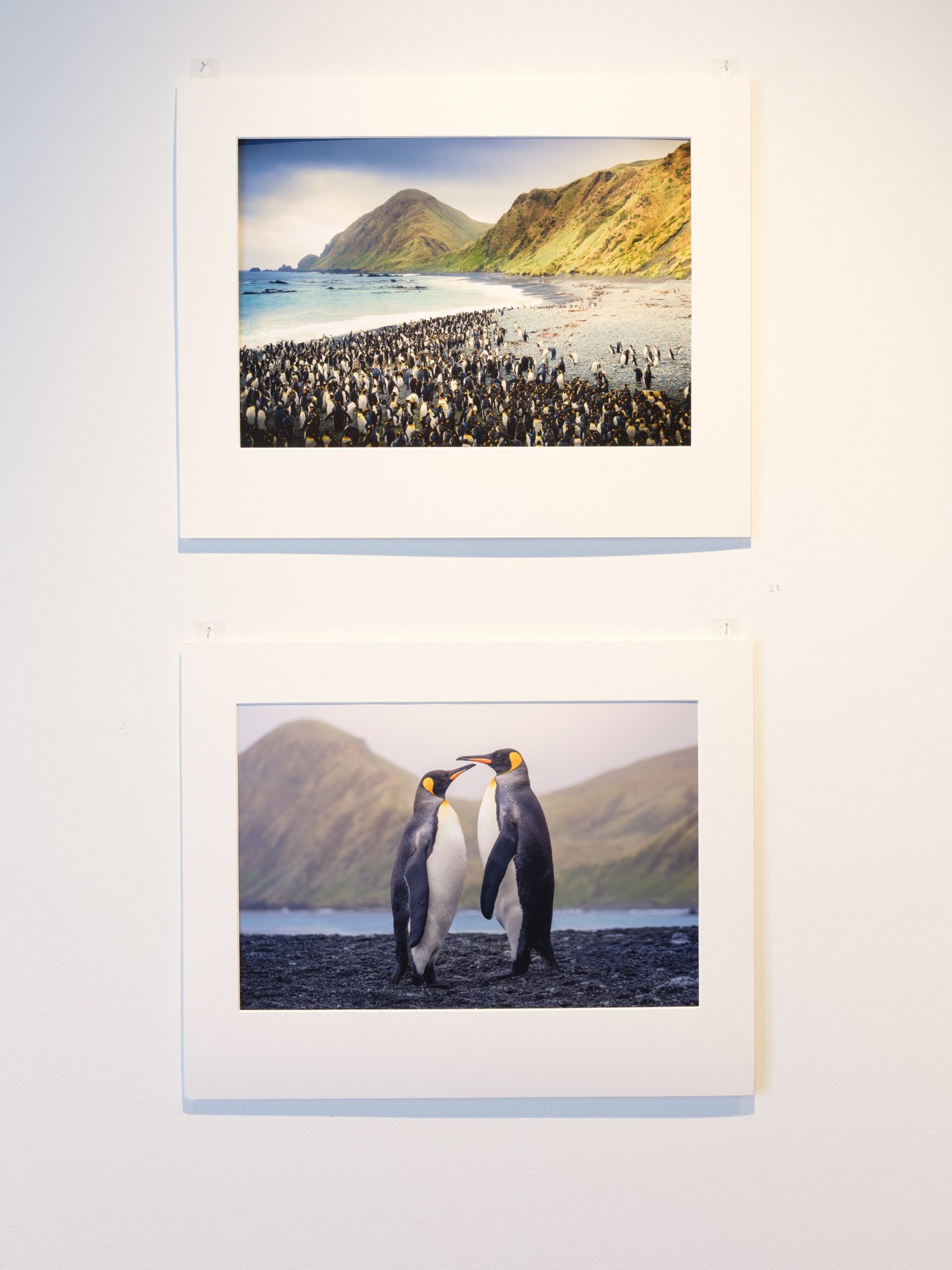Murphy Robinson 'Together and Among the Chaos' Pigment ink photograph 42 x 60 cm each 2025 Photo Credit Simon Jarman