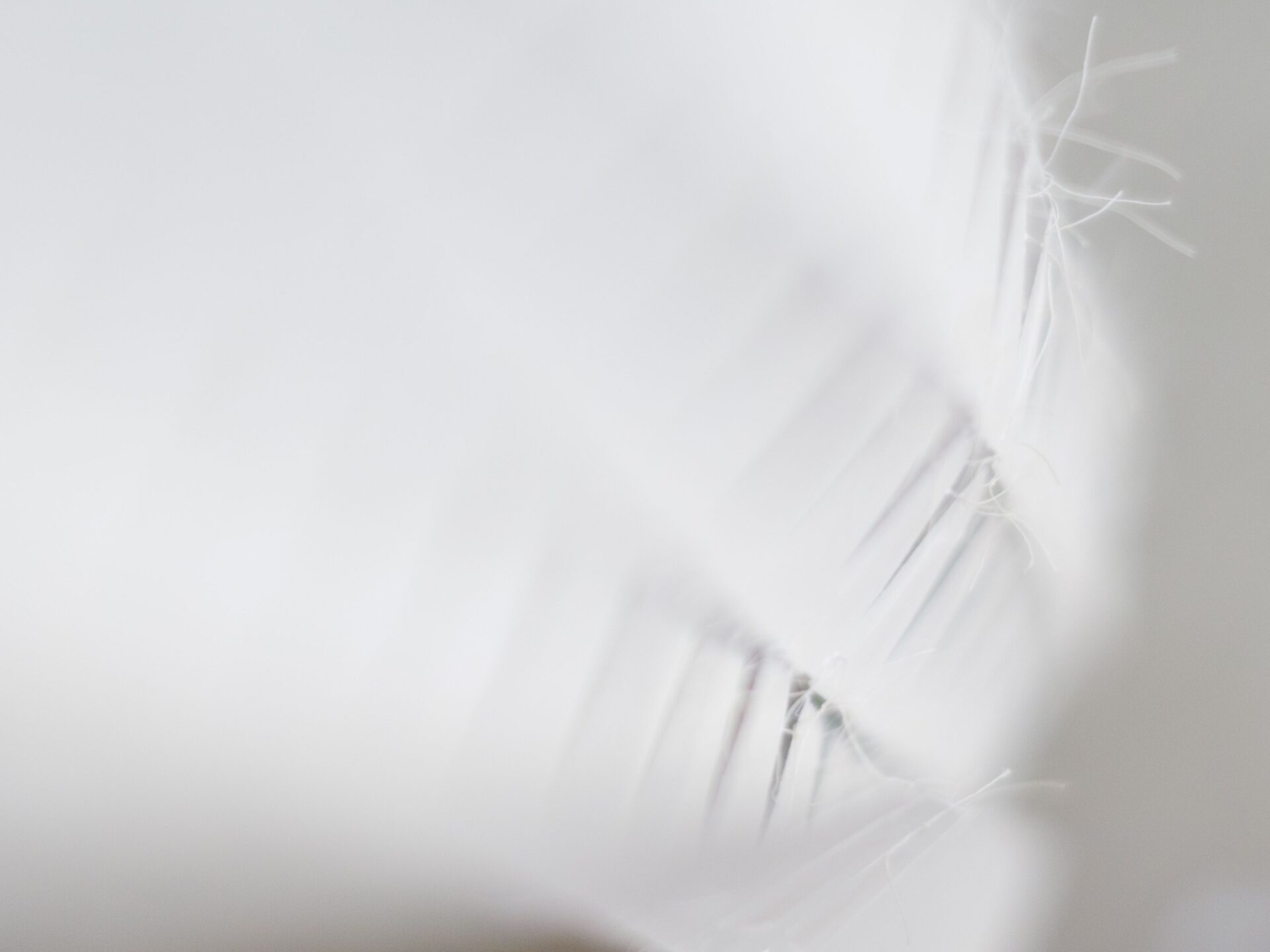 Sofia D’Aubert-Phillips 'Collective/Solitude' - detail Embossed Magnani paper, cotton thread, aluminium rod Indefinite x 23cm 2025 Photo Credit Simon Jarman
