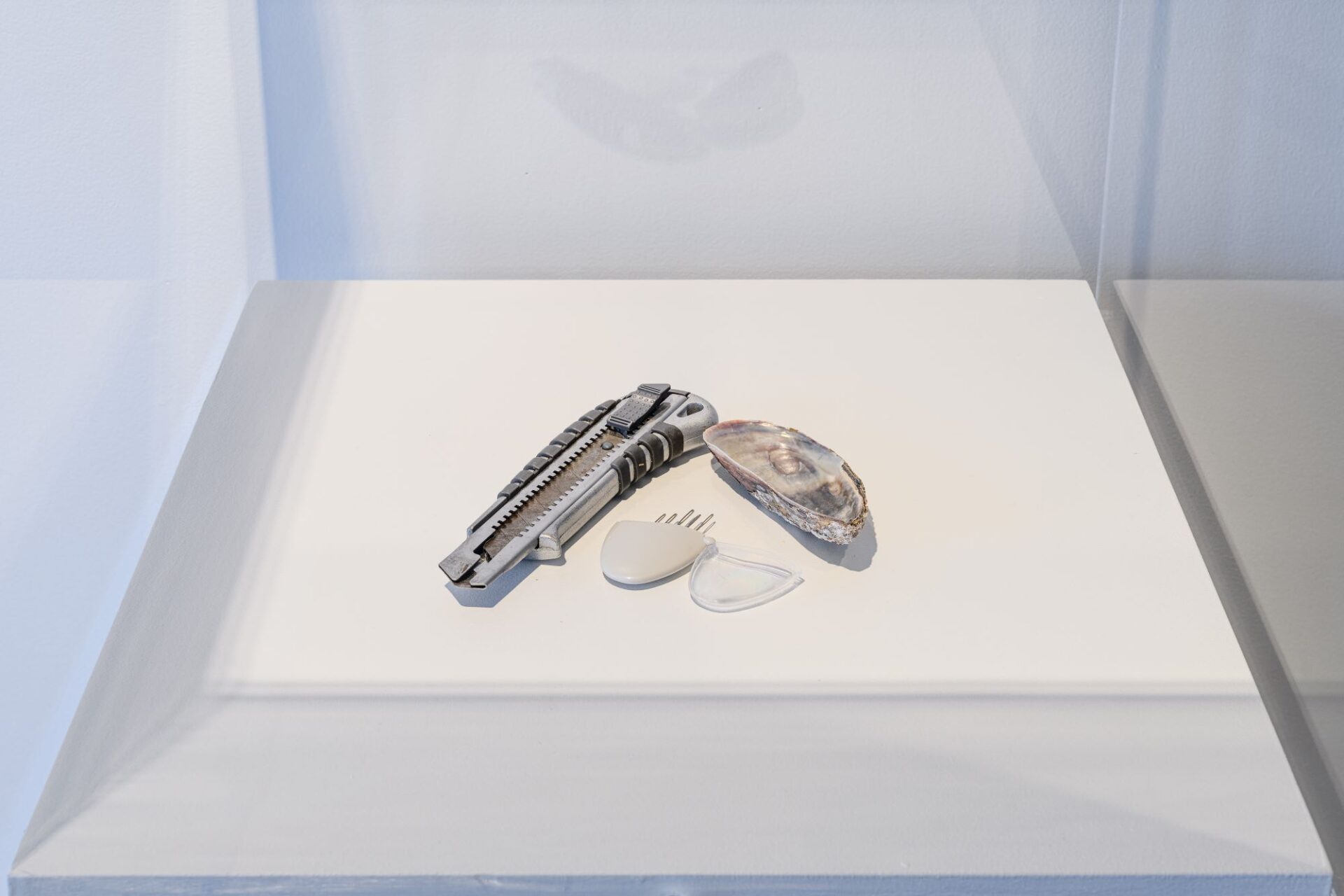 Te Keteparaha o Nāianei – Tools of Today: Stanley knife, Kūtai, Needles, 'Āhuataka: A Wānaka of Kāi Tāhu Woven Adornment', Photo Credit Owen Spargo