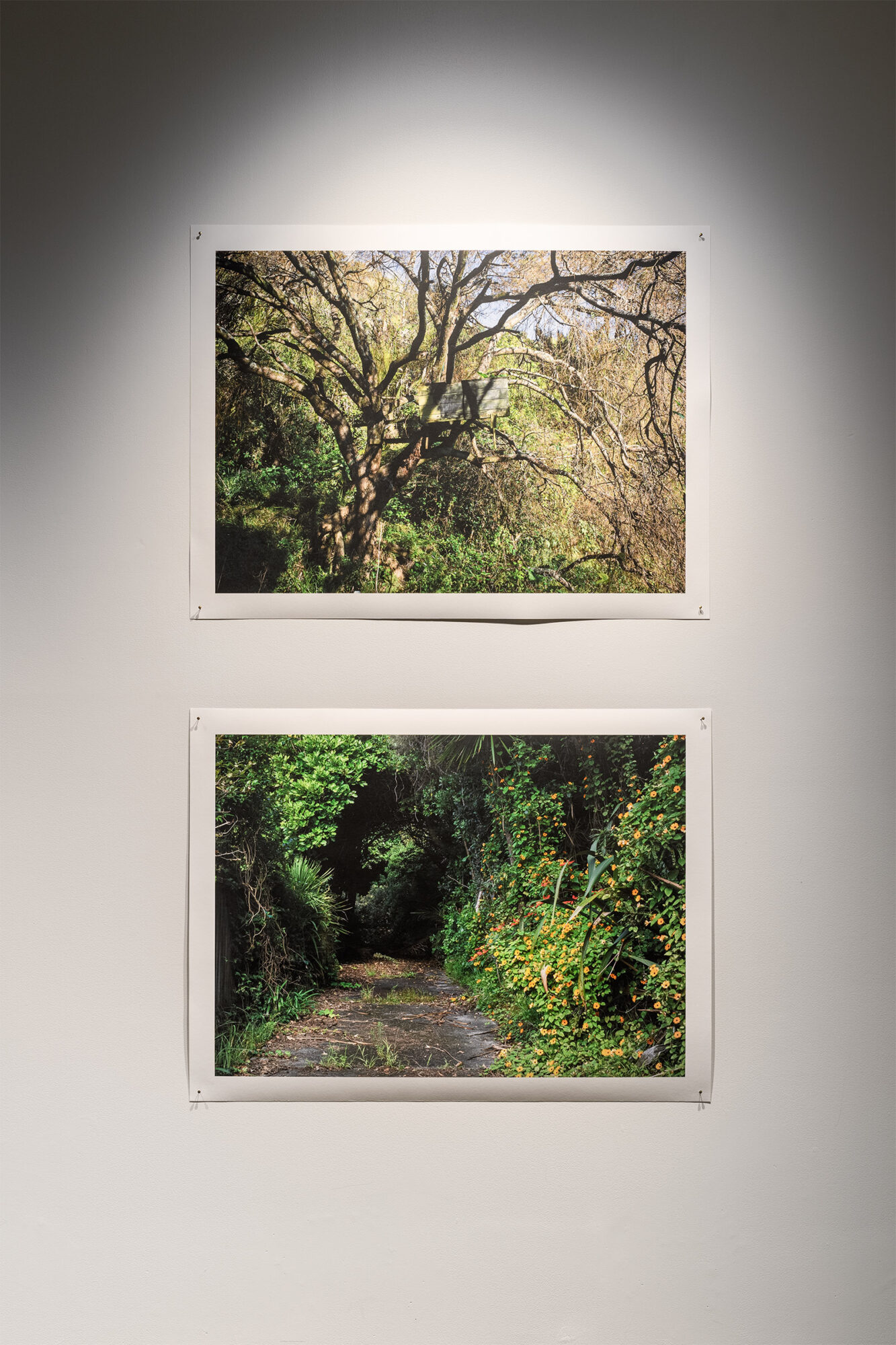 'There is (no) Anthropocene', Virginia Were 'Driveway with Kohekohe, Motutara Road, 2025', 'Loft, Motutara Road, 2025', Digital photographs printed on Hahnemühle paper, 896 x 653 mm, 2025, Photo Credit Owen Spargo