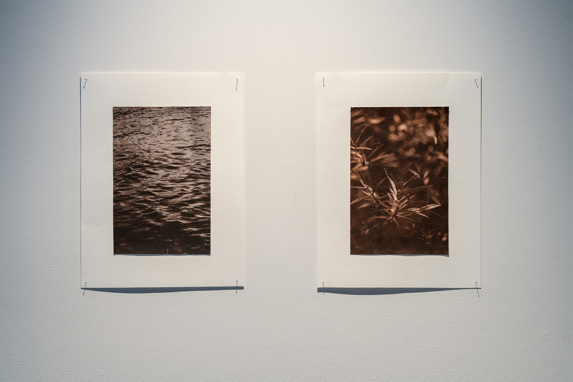 Abigail Hau, (Ngātiwai, Ngāpuhi), 'e taupunga ana ki tai', Ōtautahi salt water, silver nitrate, te rā, 300gsm cold-pressed watercolour paper, 390mm x 395mm, 2026, photo credit Owen Spargo