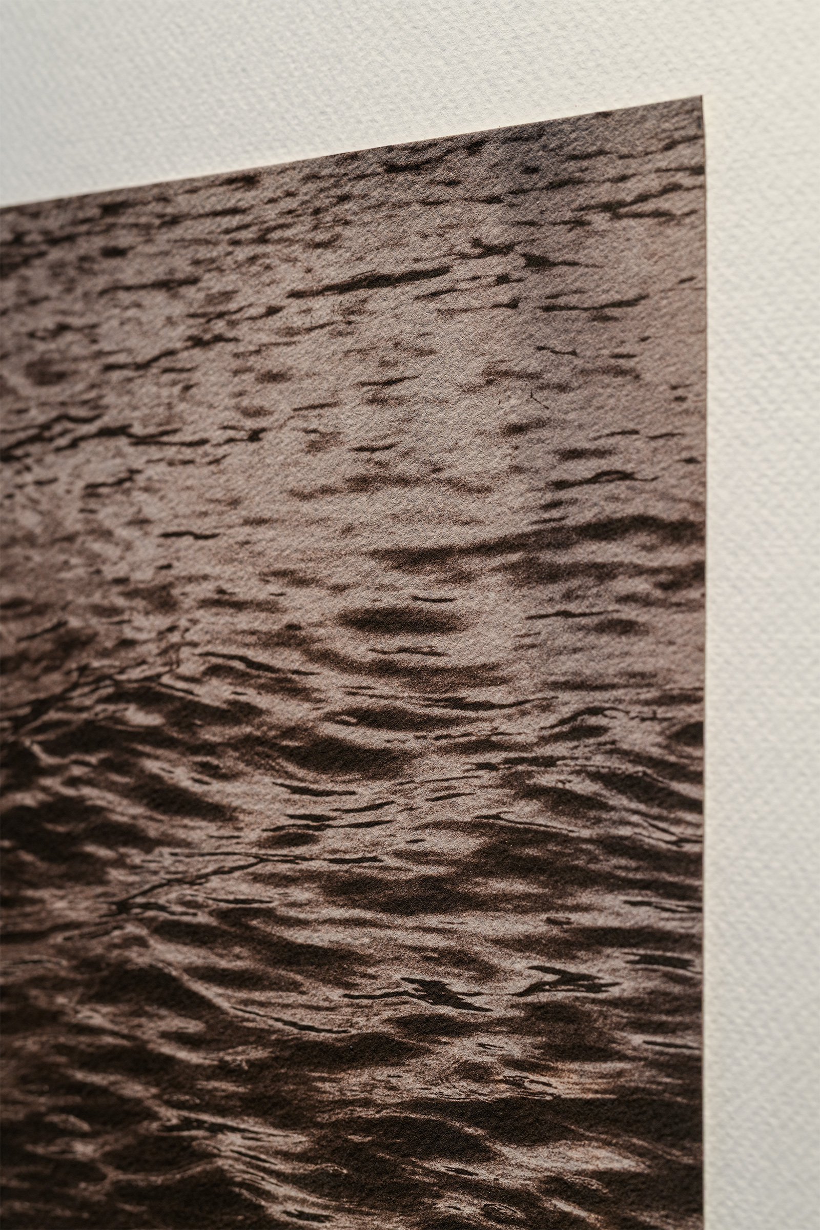 Abigail Hau, (Ngātiwai, Ngāpuhi), 'e taupunga ana ki tai' - detail, Ōtautahi salt water, silver nitrate, te rā, 300gsm cold-pressed watercolour paper, 390mm x 395mm, 2026, photo credit Owen Spargo