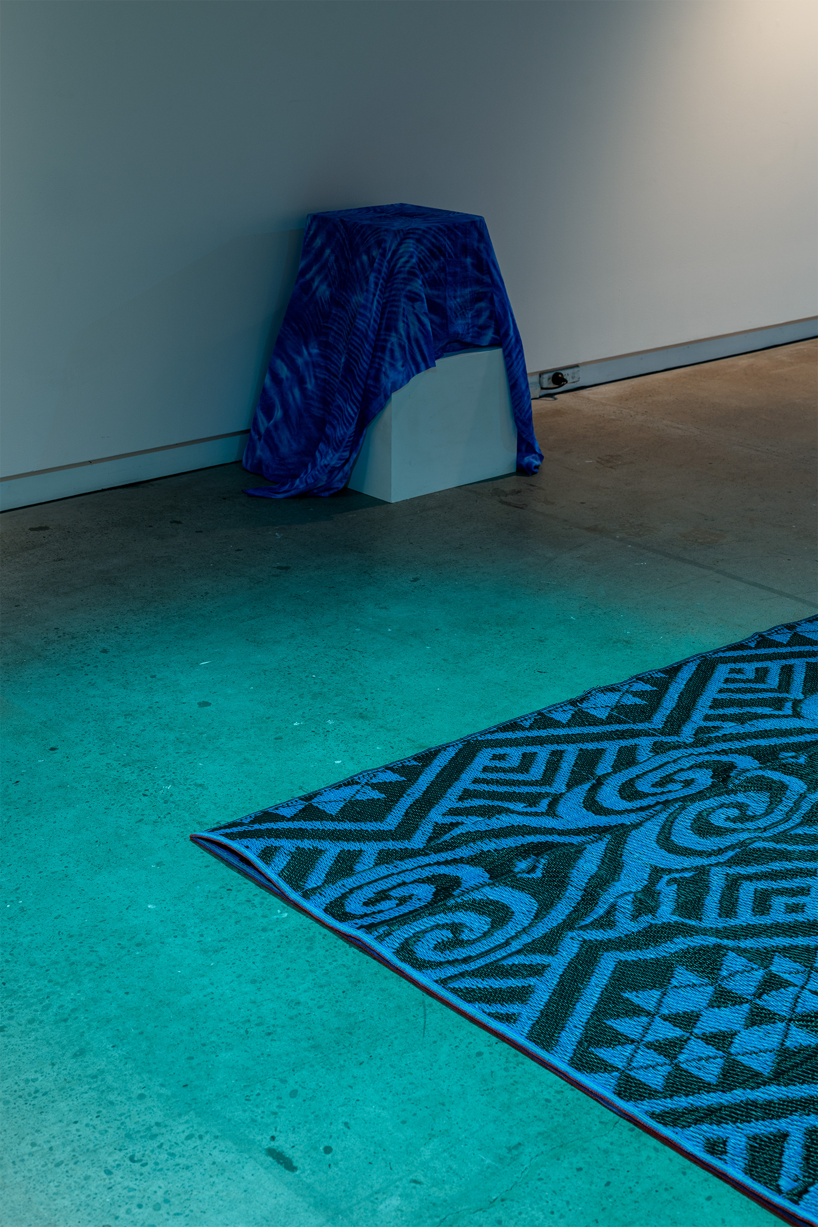 Niko Talamahina (Niue: Alofi Tokelau, Avatele and Sāmoa: Vaimoso, Vaialua, Utulei, Tutuila) 'Can you hear me brother?' Sound installation with field recordings, 20 minutes, 2026, photo credit Owen Spargo