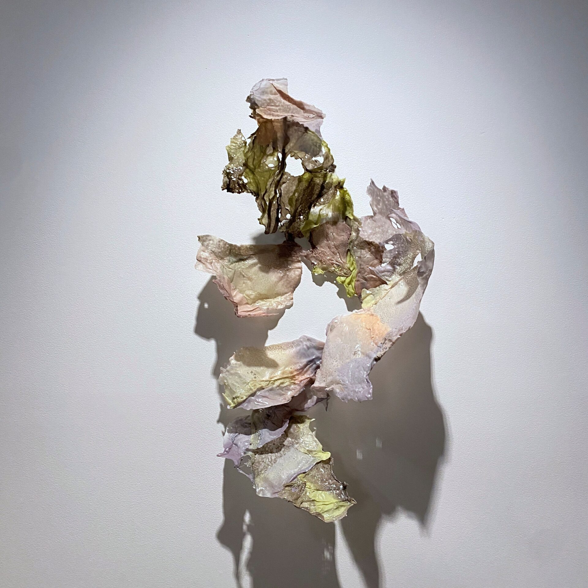 Raewyn Martyn, 'Greywacke love poems - inversion' Bacterial polyester, greywacke and plant-based pigments, 400 x 600 x 300mm, 2019, Photo Credit Melissa Wong