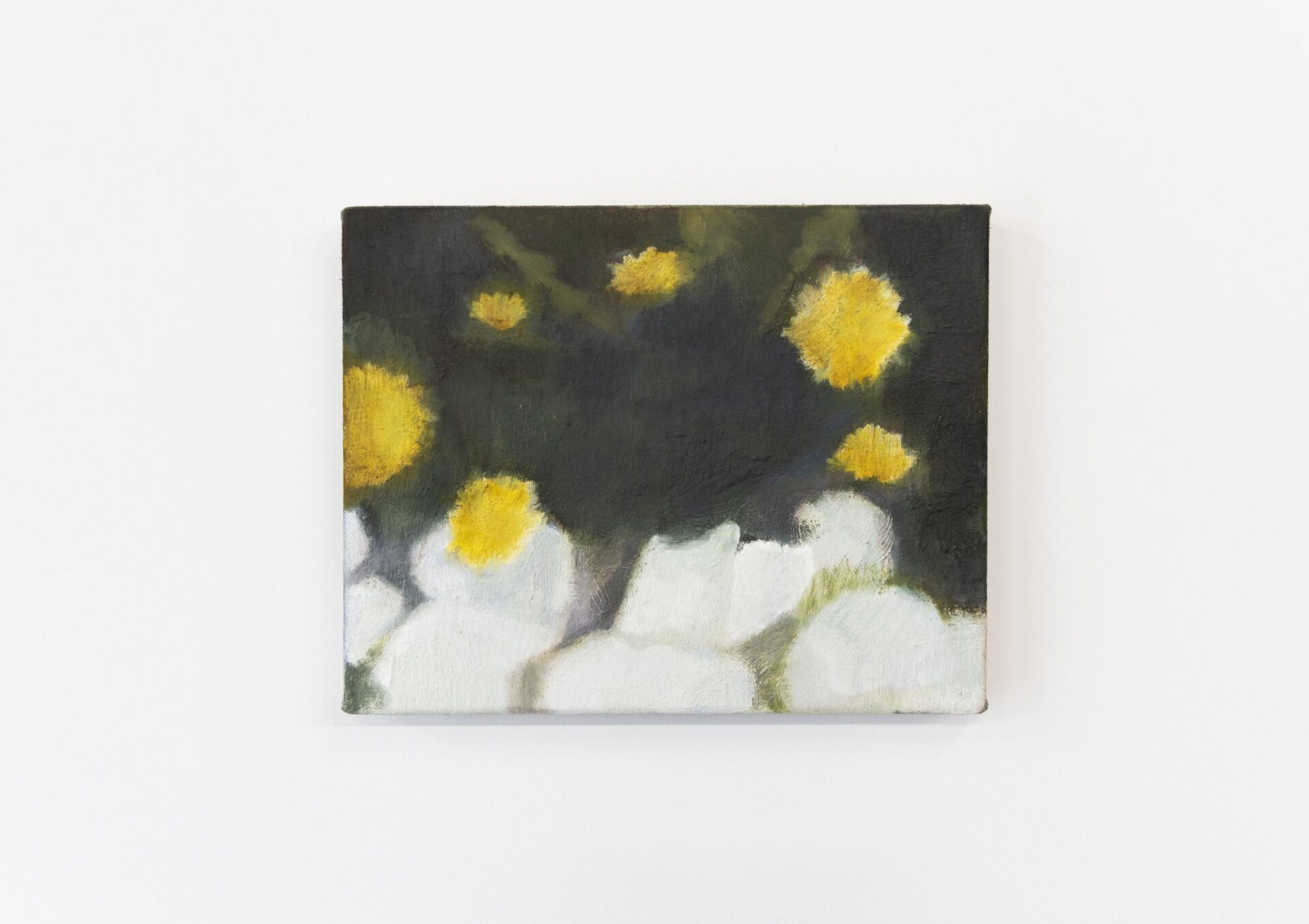 Lucia Sidonio, 'Full Circle', Oil on canvas, 200 x 250 x 20mm, 2026, $850, Photo courtesy of the artist